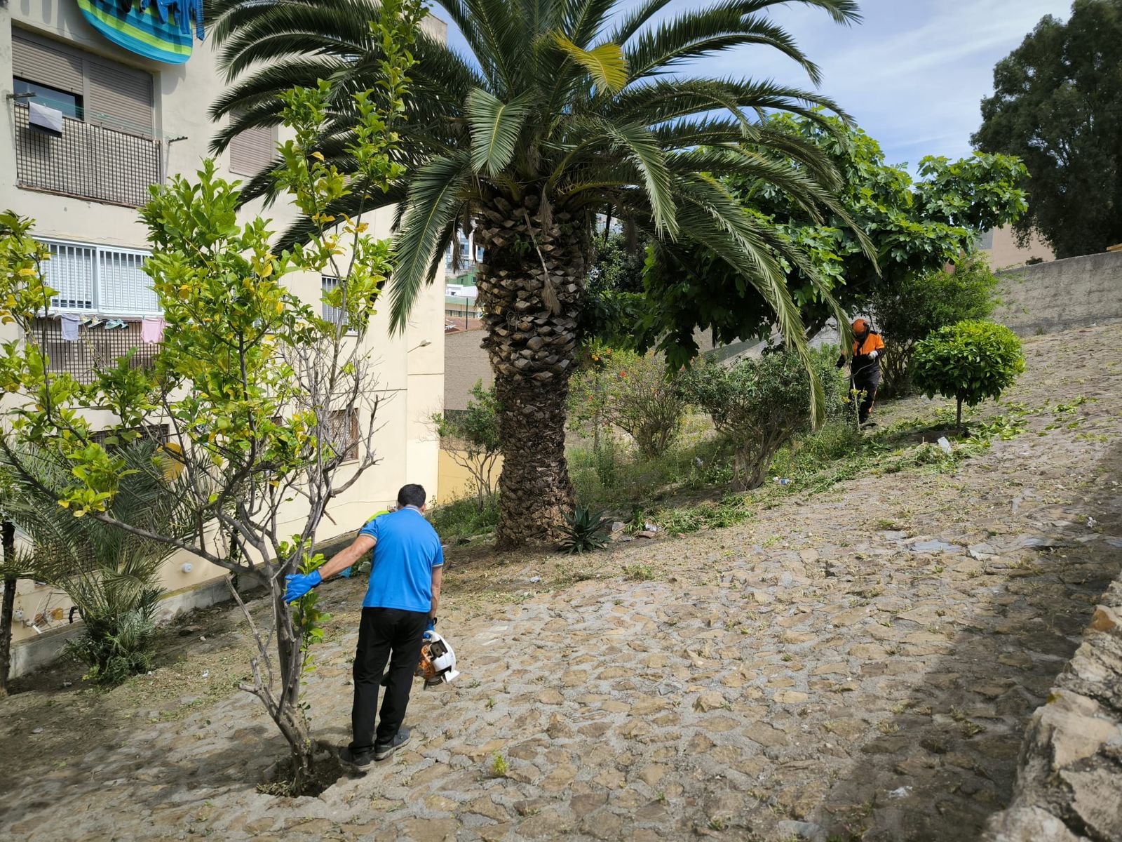 La Ciudad actúa tras las denuncias vecinales y limpia la vaguada de Miramar Alto