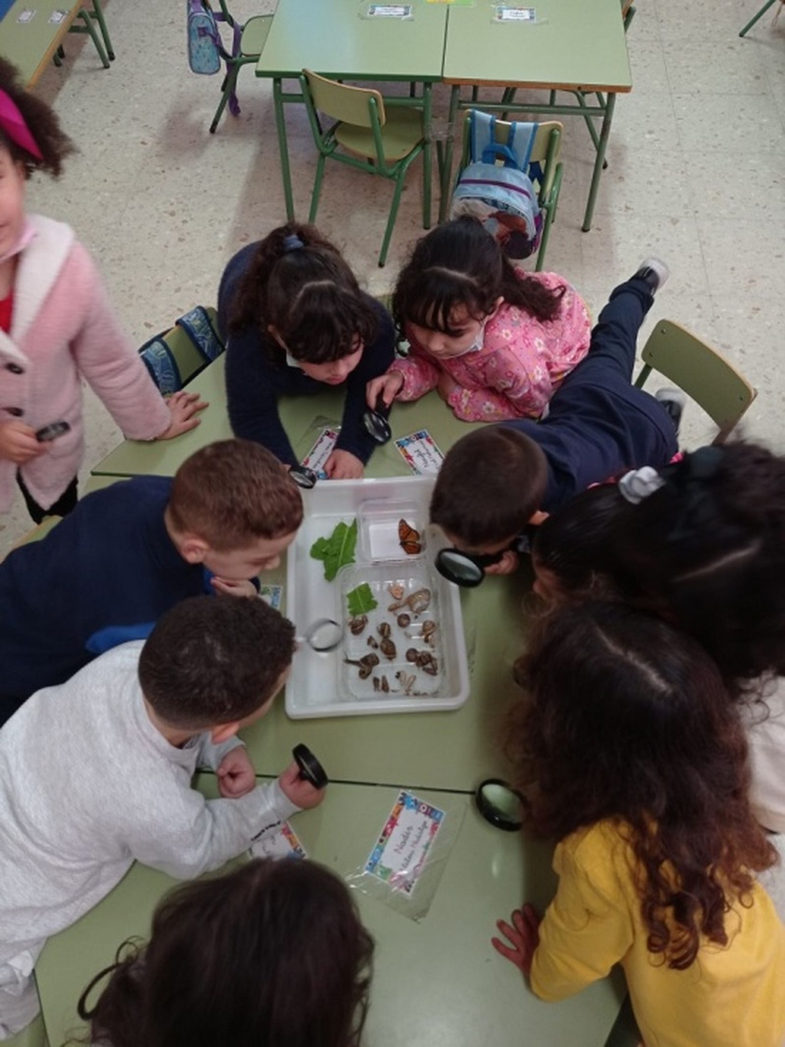 Alumnos del 'Juan Morejón' (5 años)