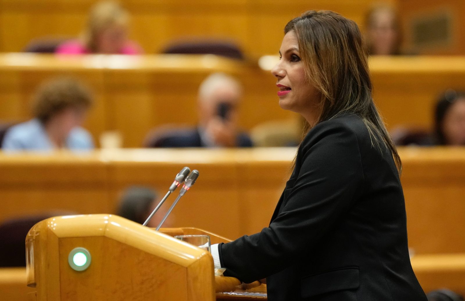 Benzina, durante su intervención