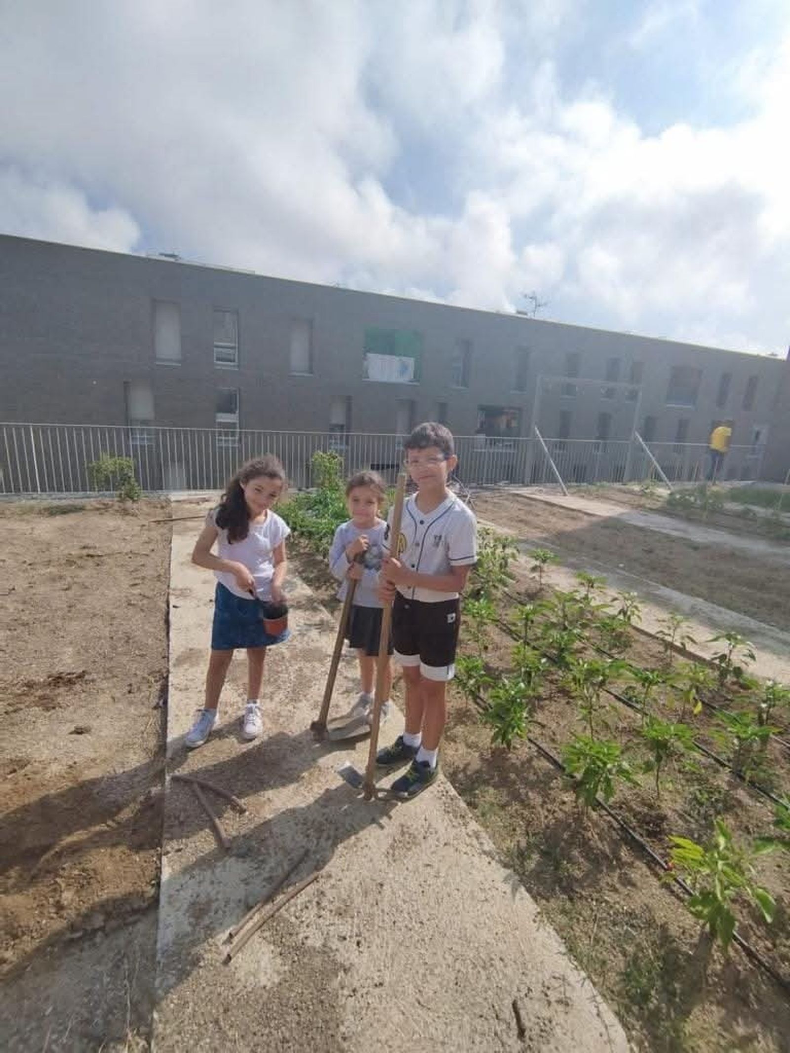Los escolares se han convertido en un pilar fundamental de la Asociación Huertos Urbanos