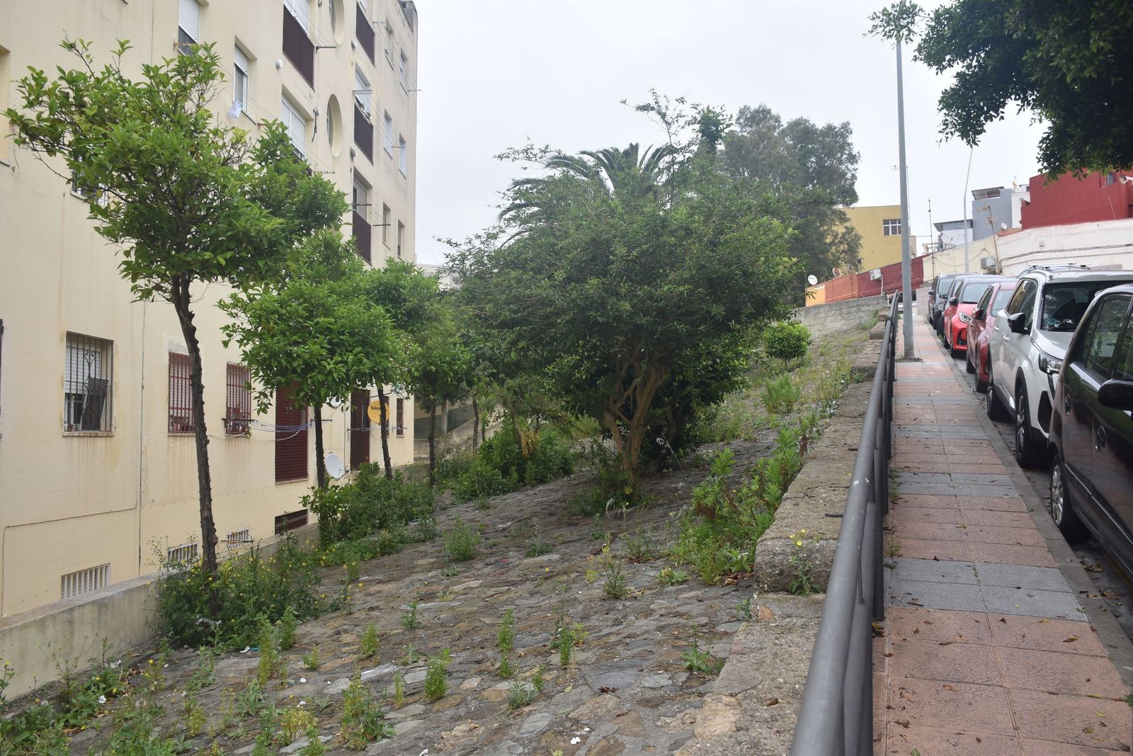 Los vecinos de Miramar Alto denuncian el abandono de una vaguada llena de basura y ratas