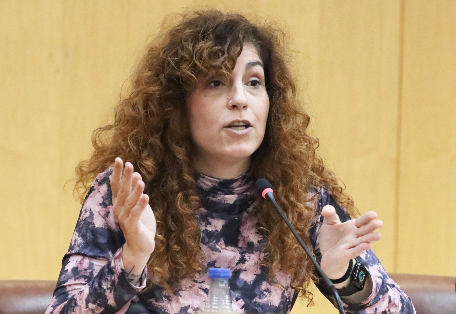 La diputada Julia Ferreras, durante su intervención en el pleno