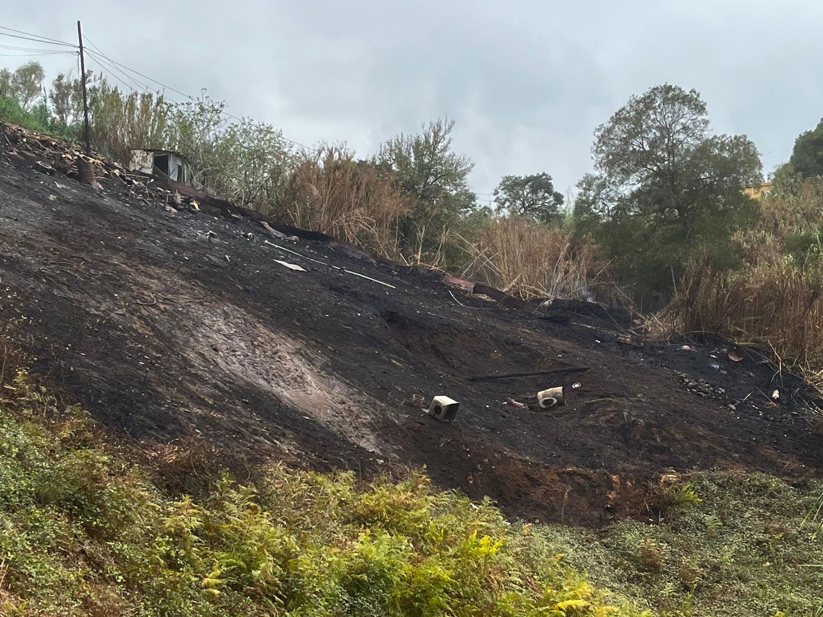 Zona calcinada del Pantano tras el incendio Zona calcinada del Pantano tras el incendio
