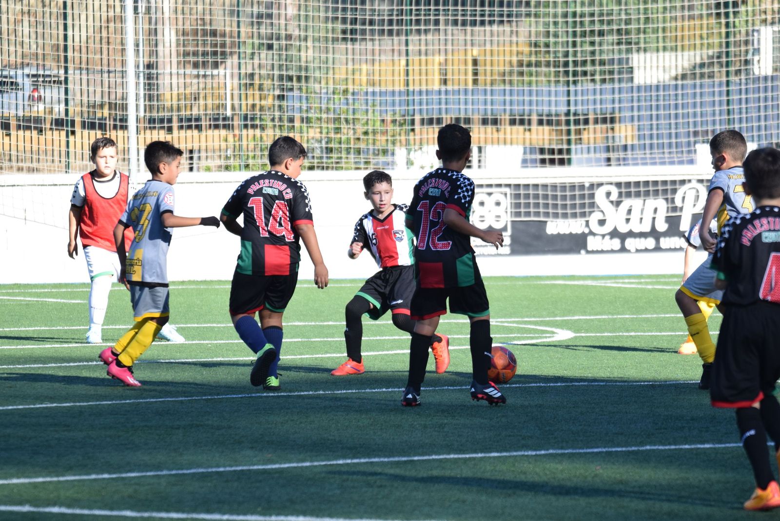 Liga Benjamín