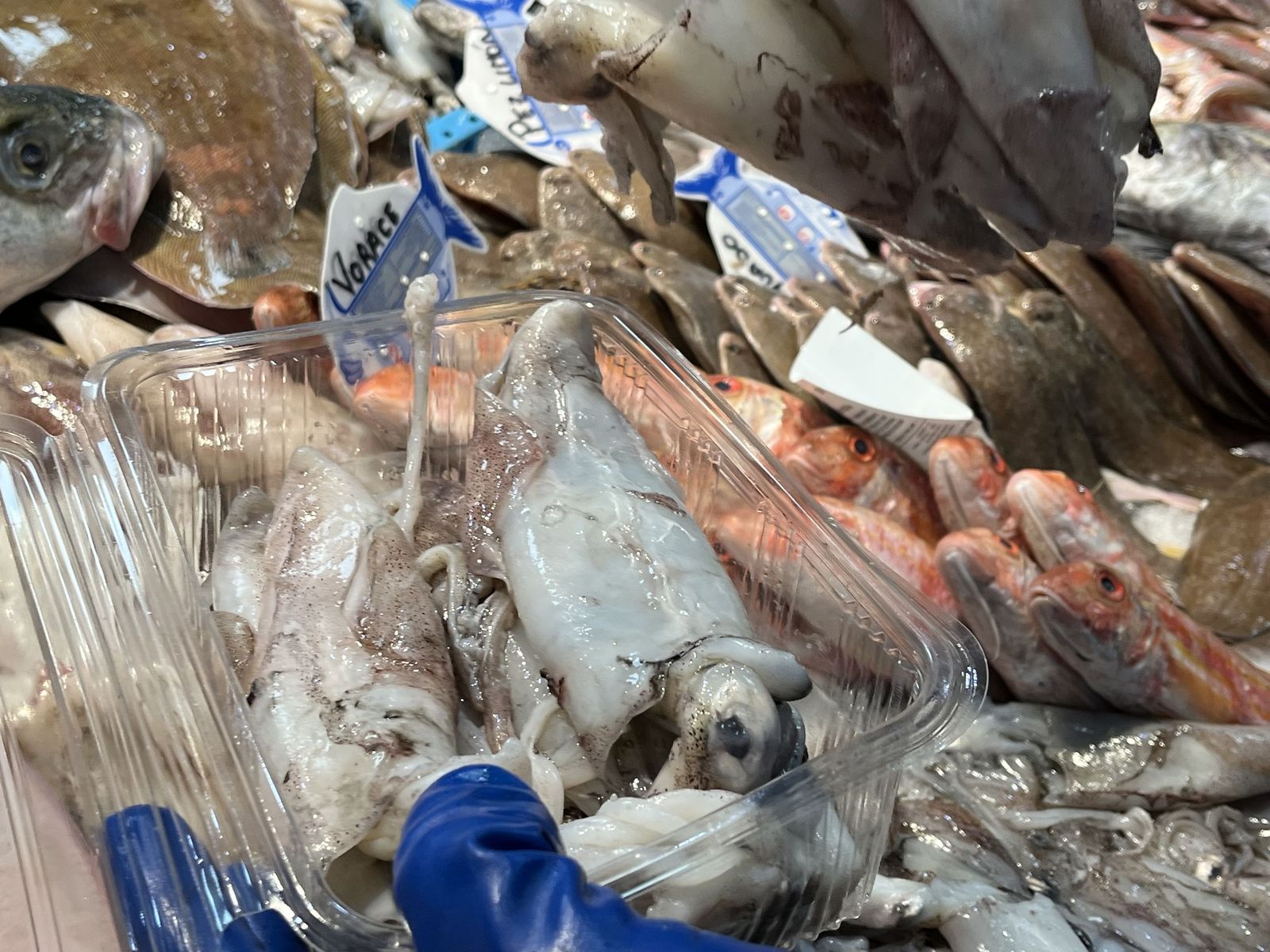 Imágenes de la pescadería de Younes en el Mercado Central.