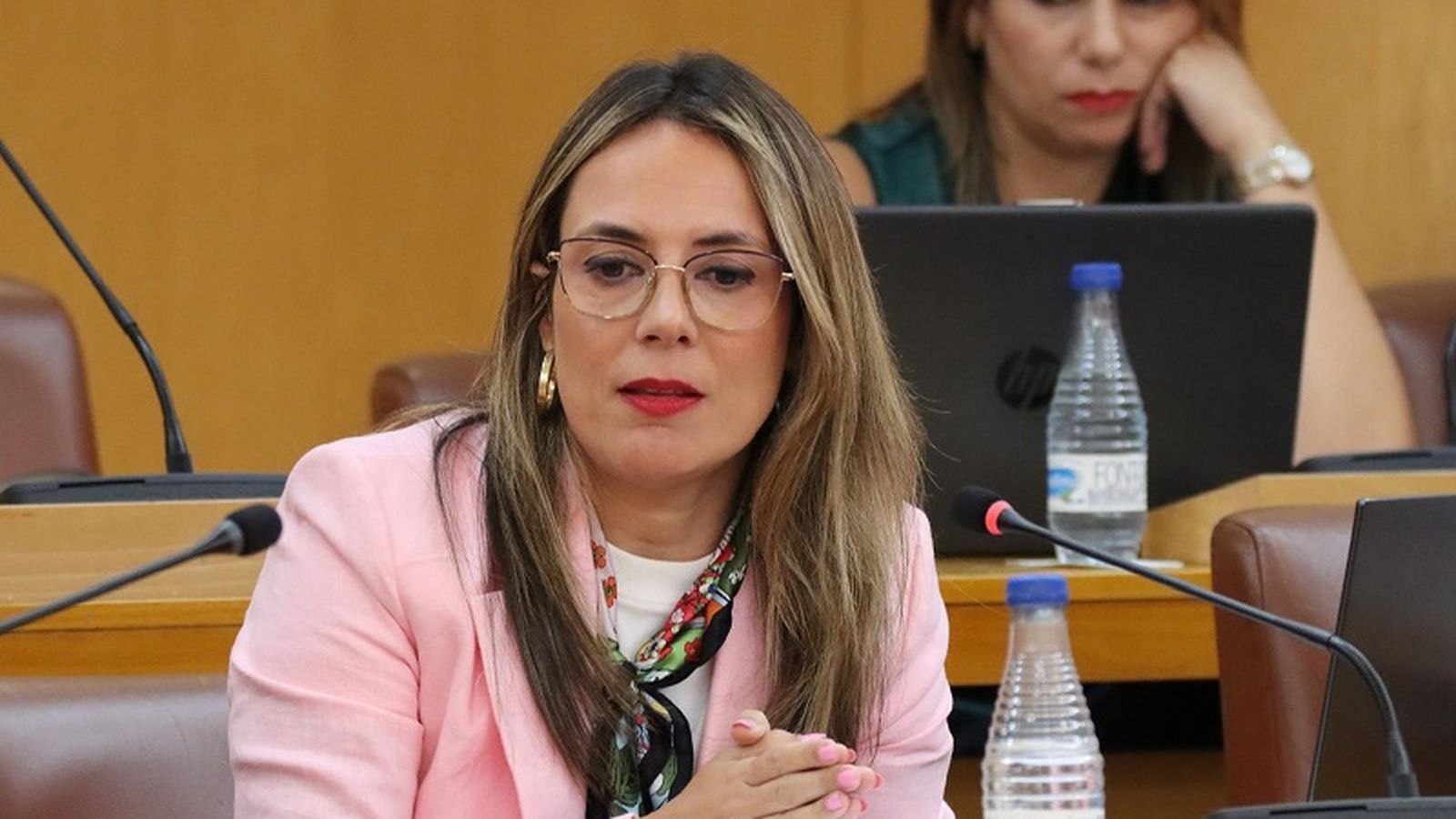 La consejera de Juventud, Pilar Orozco, durante un pleno. / FOTO REDUAN La consejera de Juventud, Pilar Orozco, durante un pleno. / FOTO REDUAN