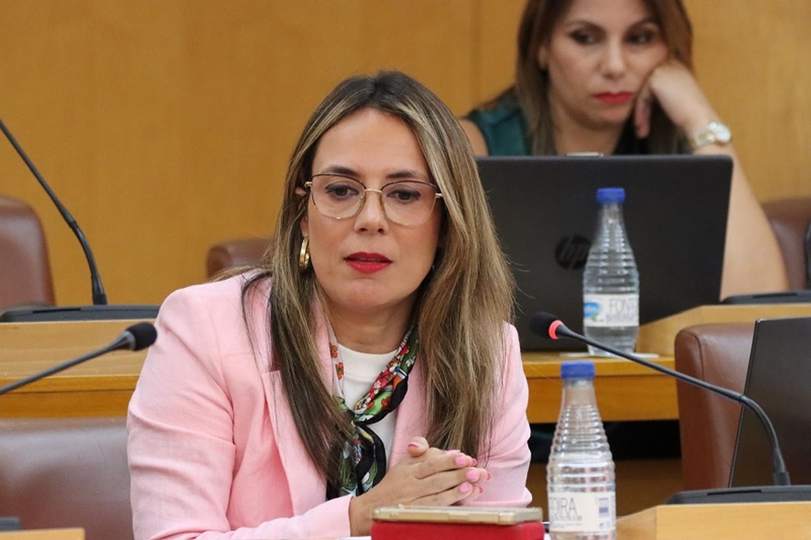 La consejera de Juventud, Pilar Orozco, durante el pleno de este miércoles. / FOTO REDUAN