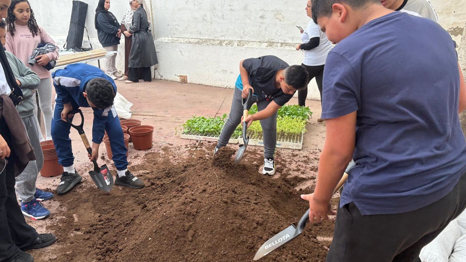 El CEIP Príncipe Felipe inaugura su huerto escolar junto al CEIP Reina Sofía
