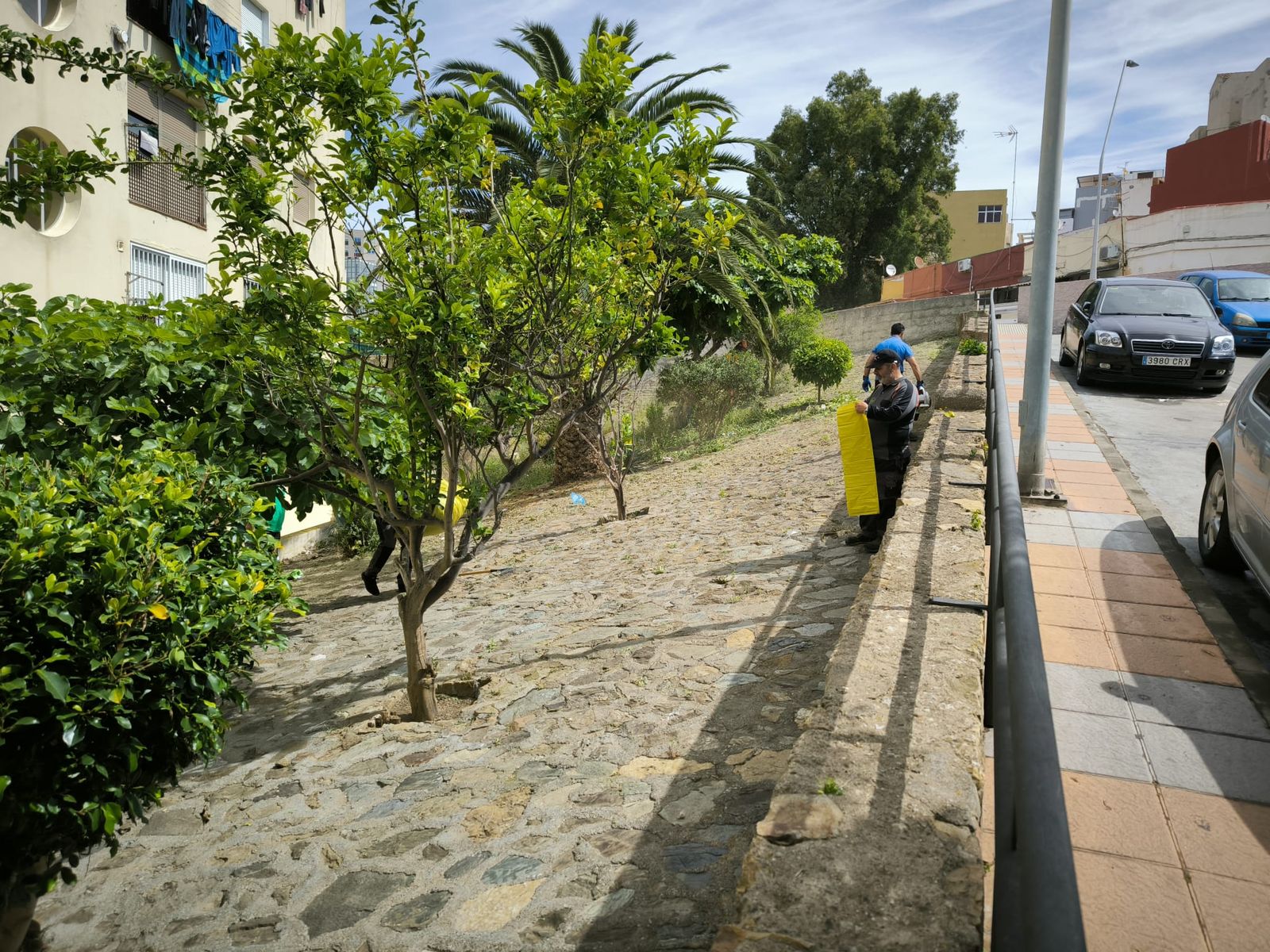 La Ciudad actúa tras las denuncias vecinales y limpia la vaguada de Miramar Alto