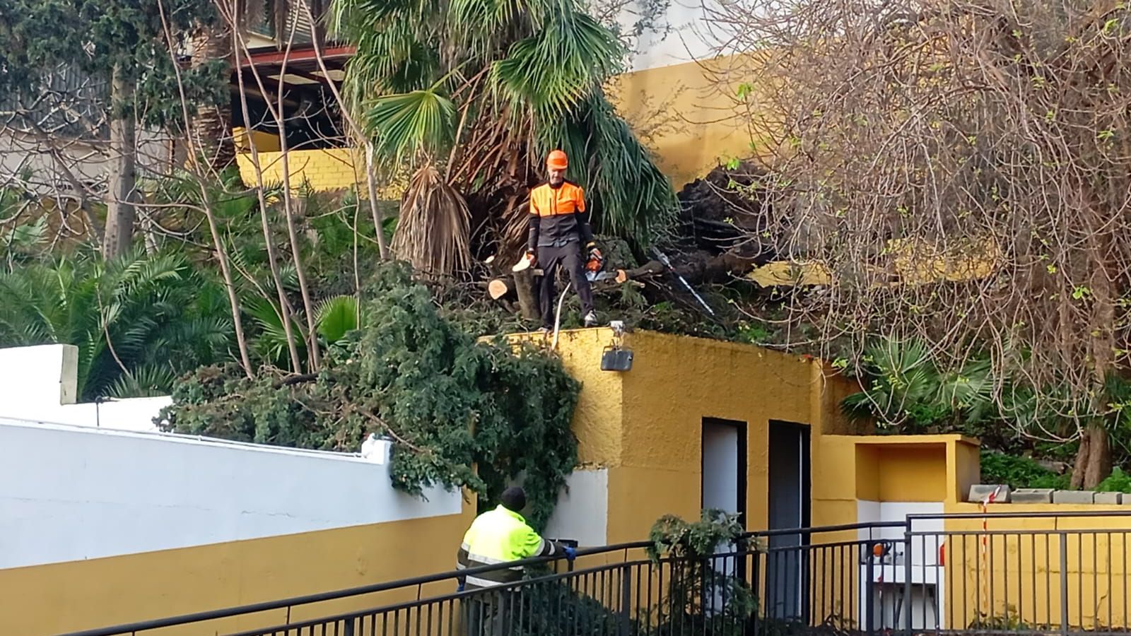 Operarios de las Brigadas Verdes