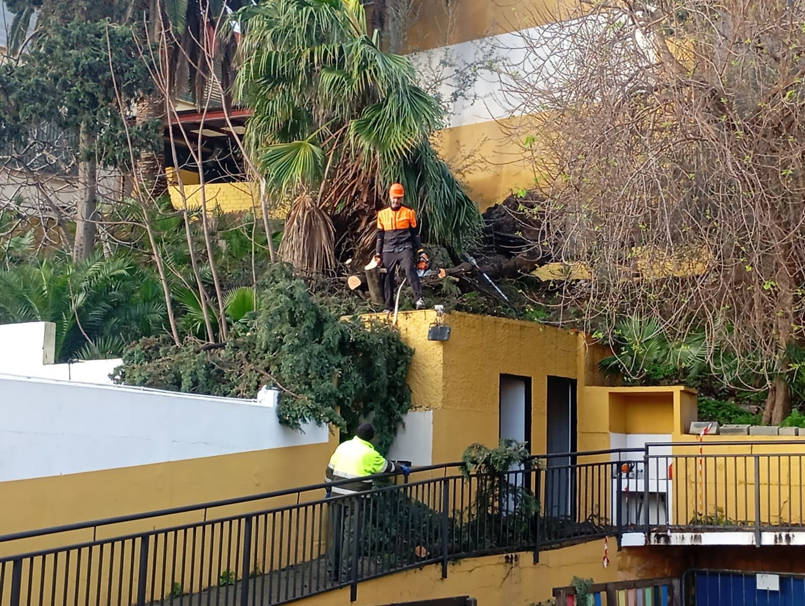 Operarios de las Brigadas Verdes antes de su integración en Obimace.