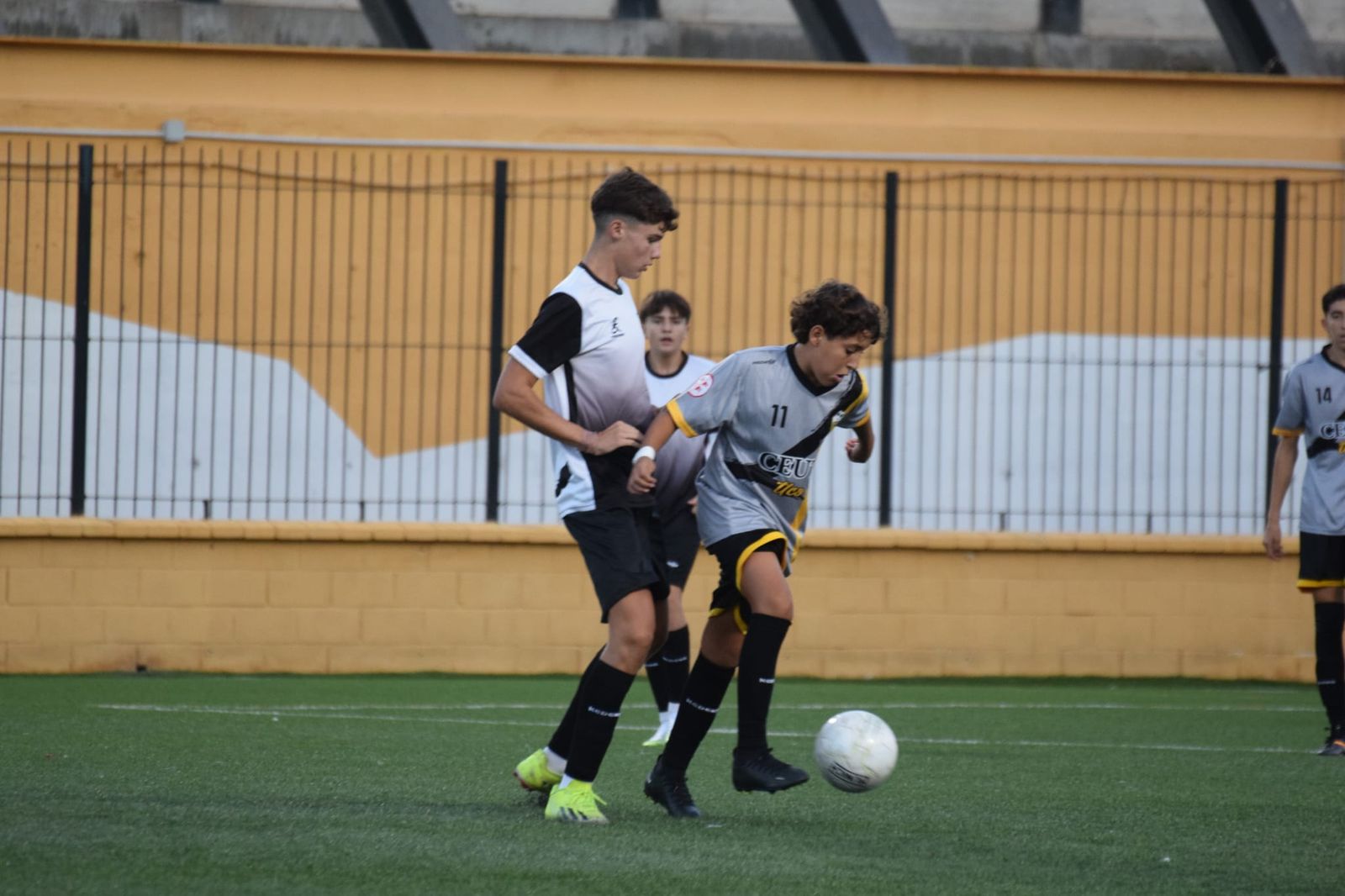 Liga Cadete