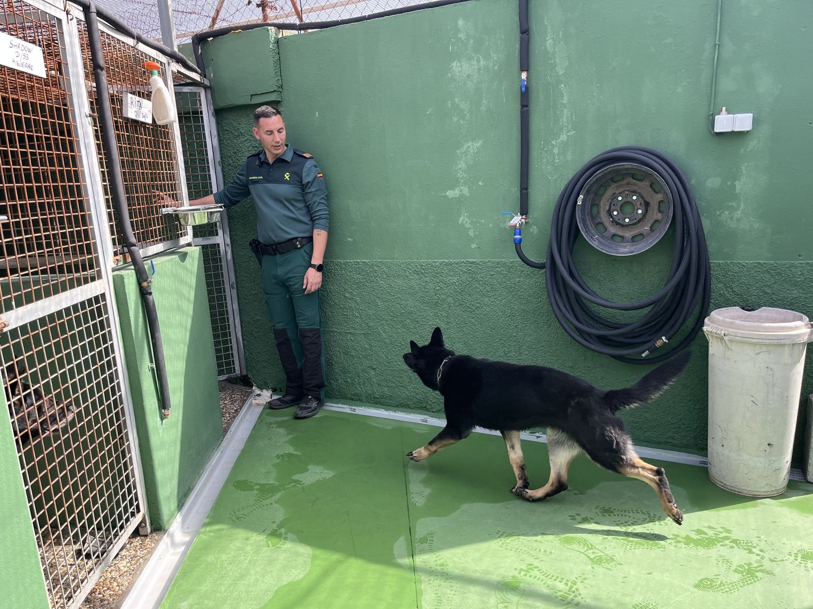Rita accede a su perrera, un hogar limpio y seguro, mientras su guía, el sargento Lobo de Dueñas la felicita por su gran trabajo
