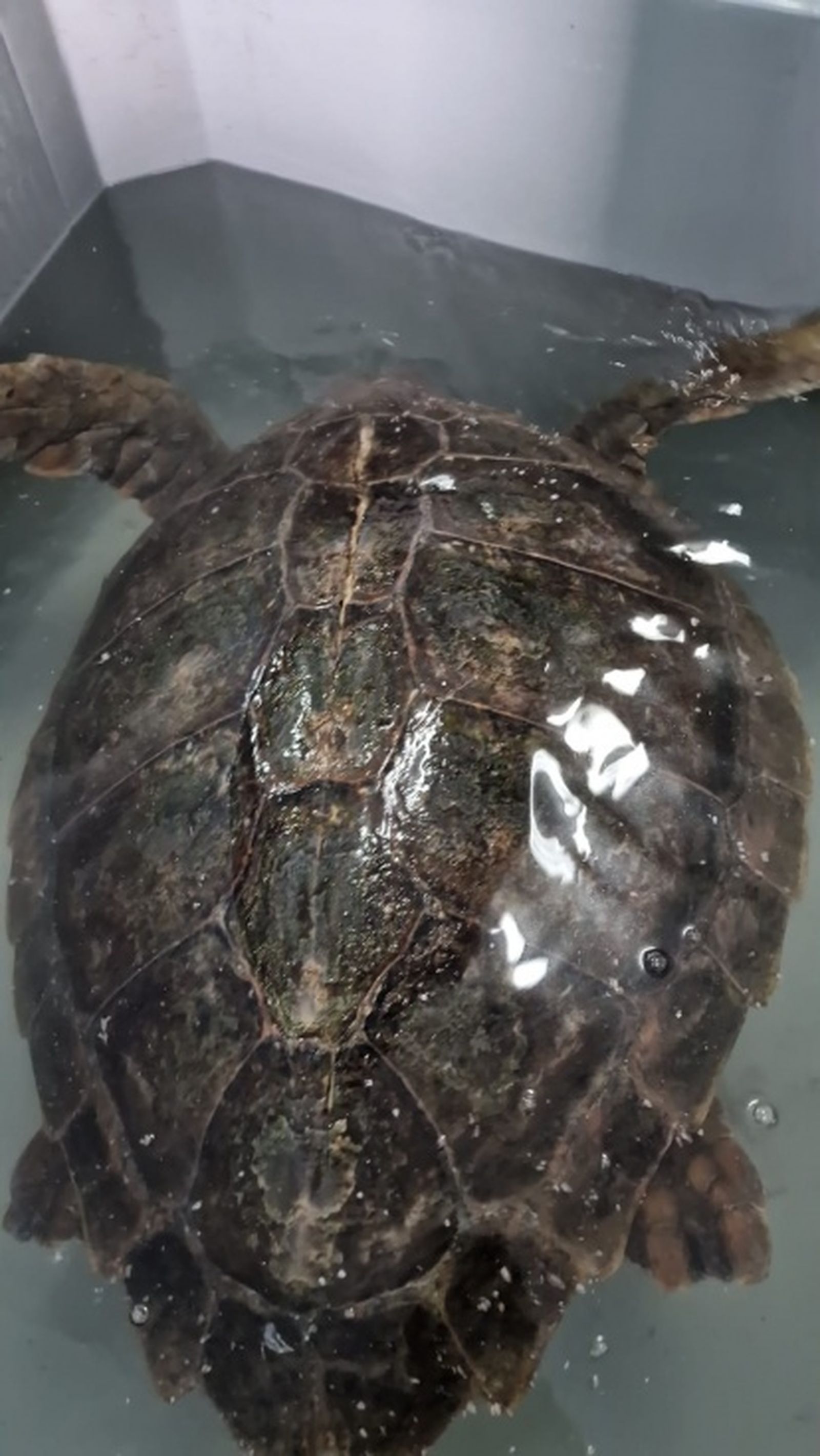 FOTO CECAM FOTO CECAM