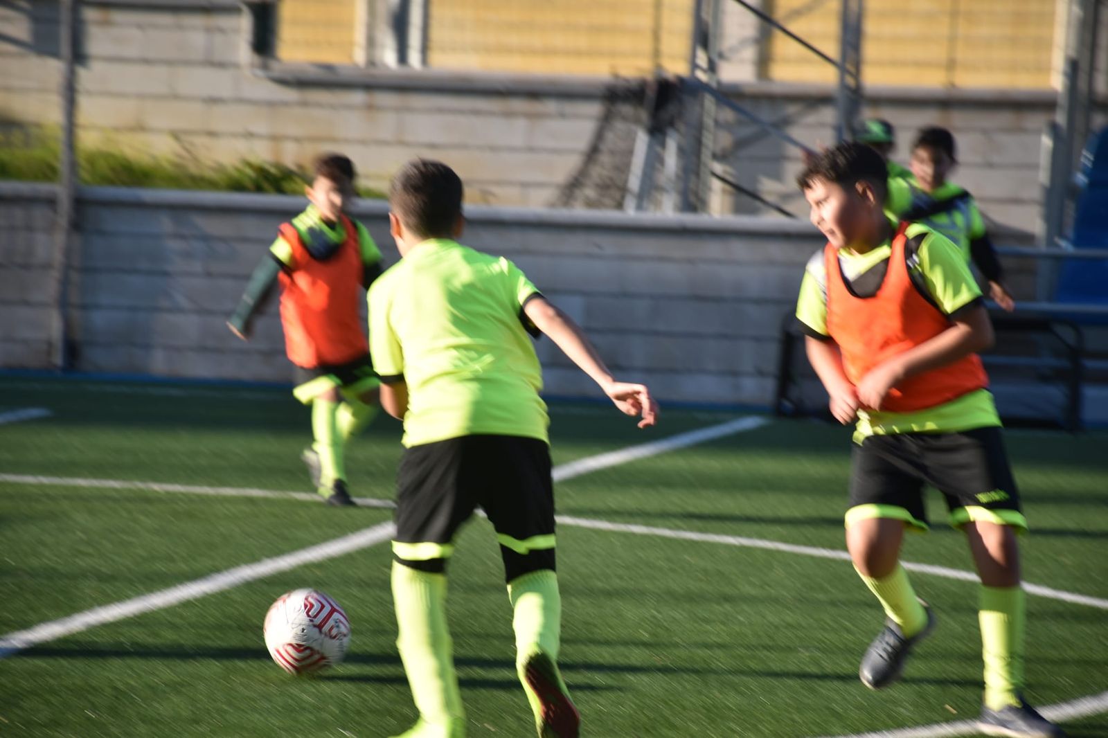 Campos del Príncipe