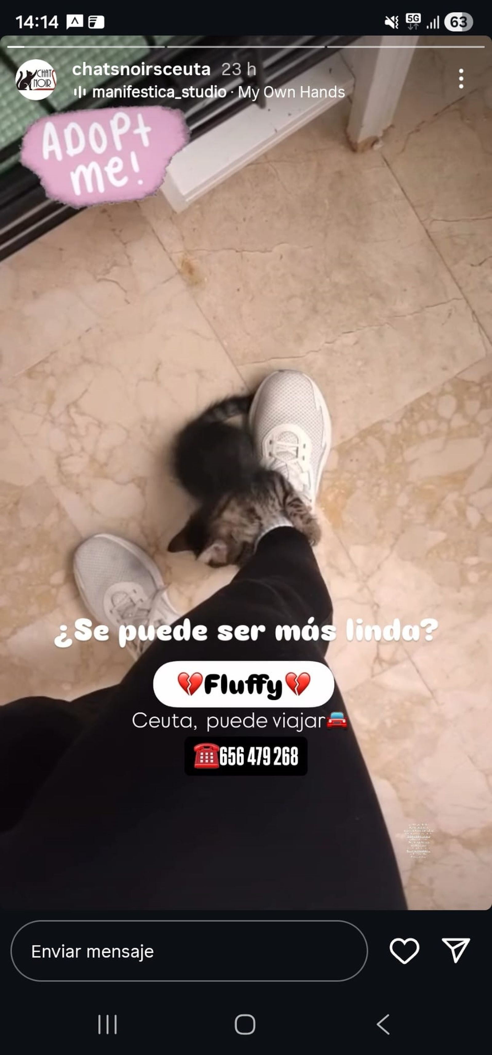 Nueva publicación de Chats Noirs solicitando la adopción de Fluffy