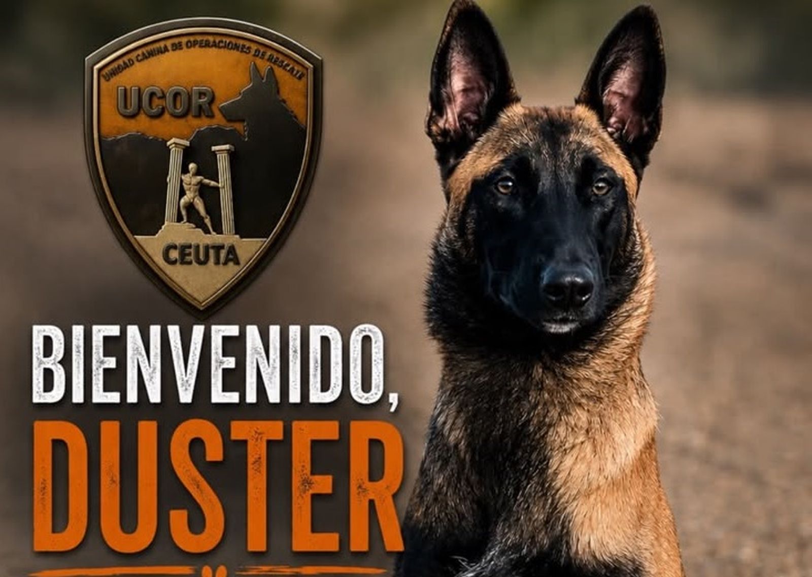 UCOR incorpora a Duster, un cachorro de Pastor Belga Malinois, a su Unidad Canina de Rescate