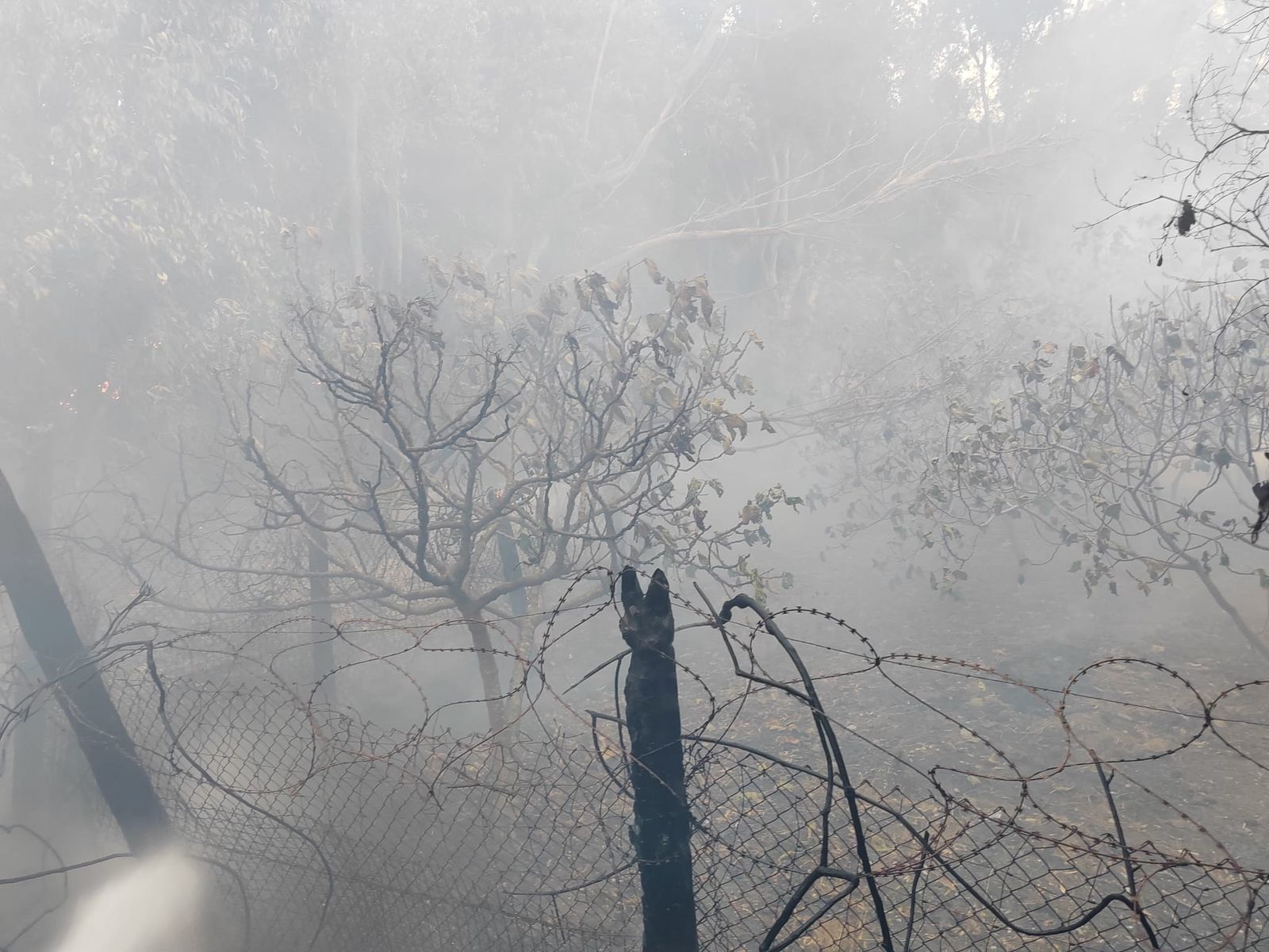 El SEIS extingue un nuevo incendio de monte en un asentamiento de Calamocarro