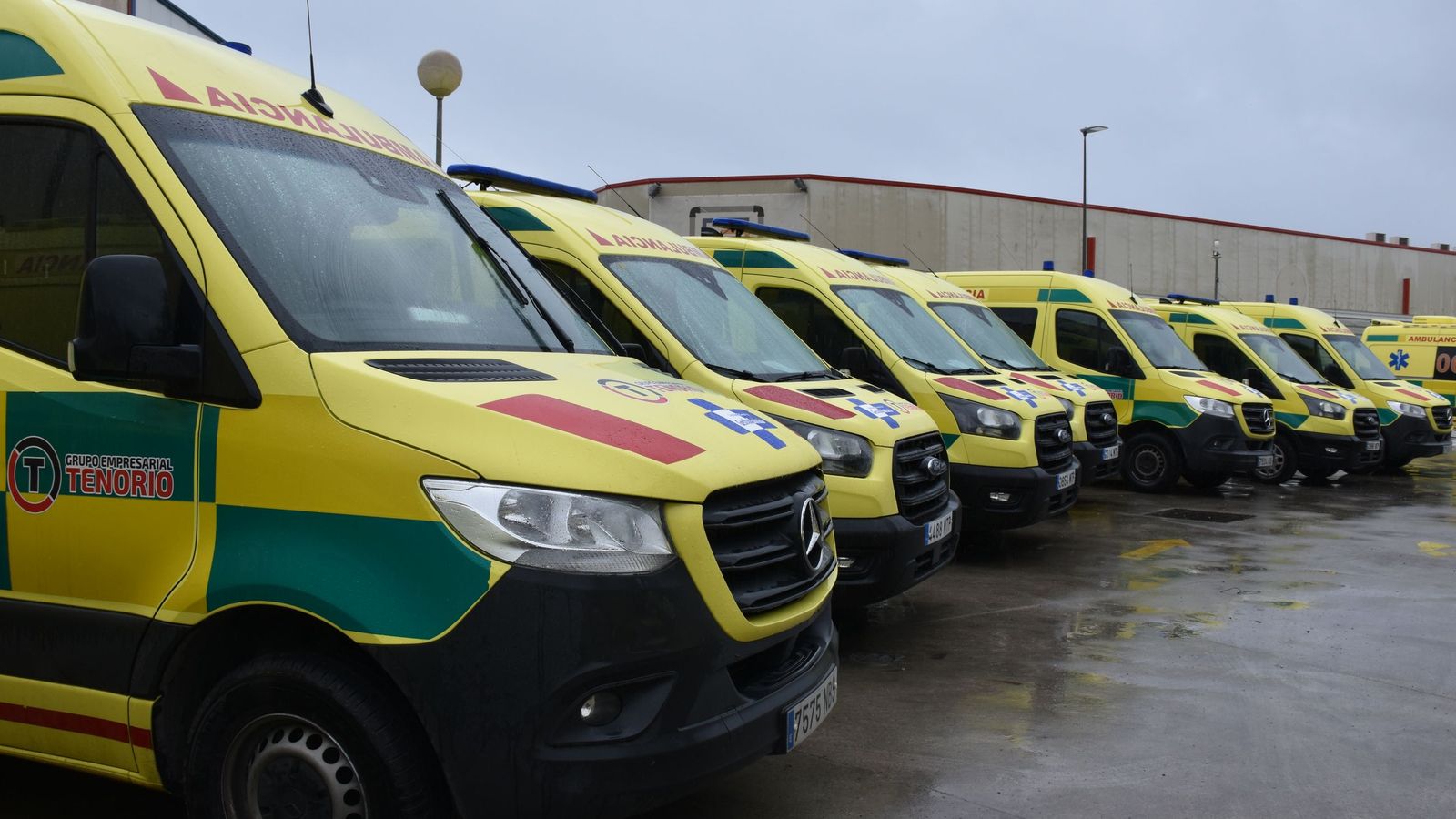 Las nuevas ambulancias adquiridas por Grupo Tenorio para el contrato firmado con INGESA, ya colocadas en su nueva sede en el Muelle de Poniente