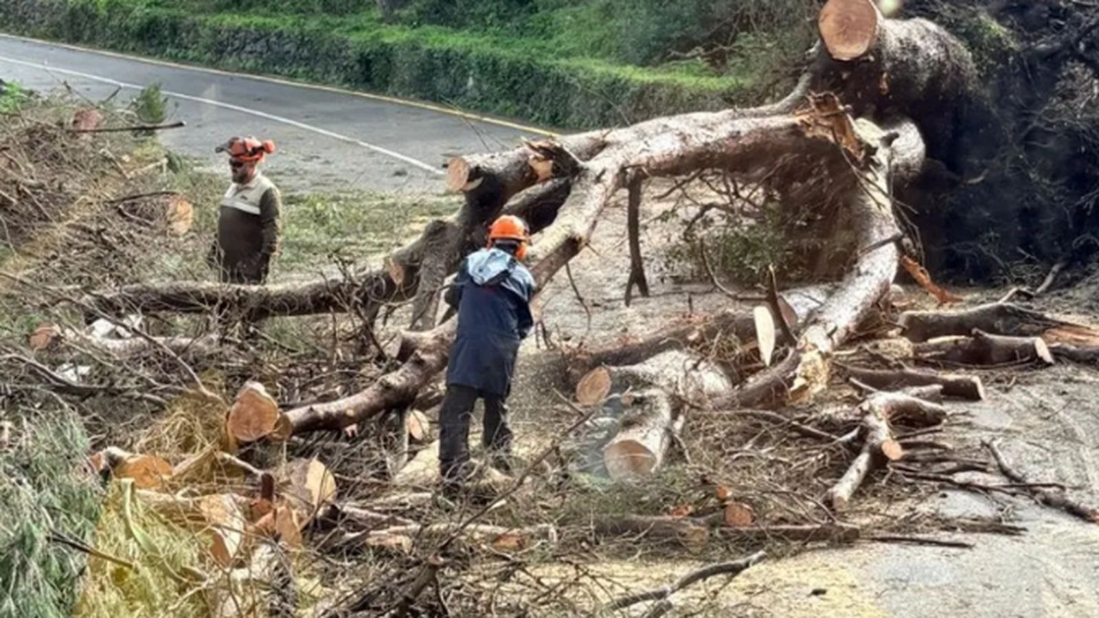 Los nuevos protocolos pretenden mejorar la coordinación de los servicios de emergencia y la protección de la población ante posibles catástrofes