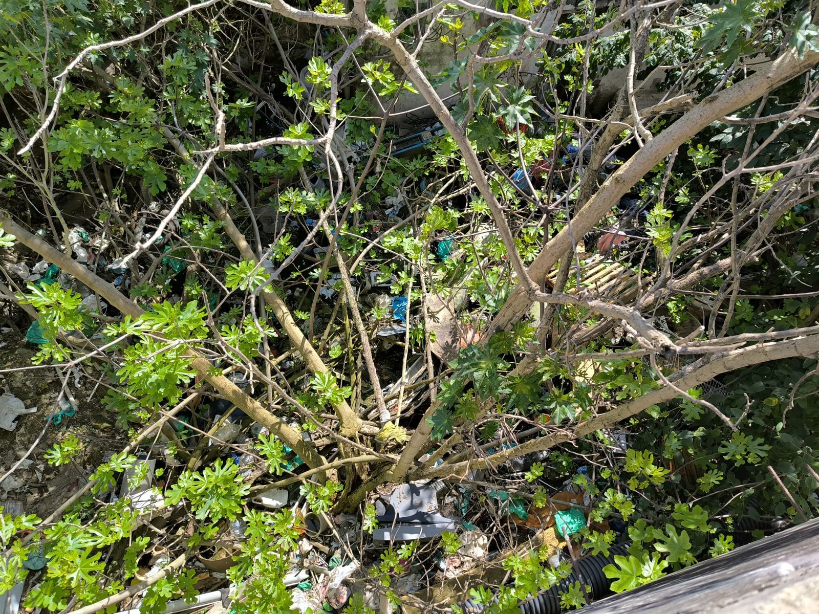 Basura en los aledaños de Fuente Terrones