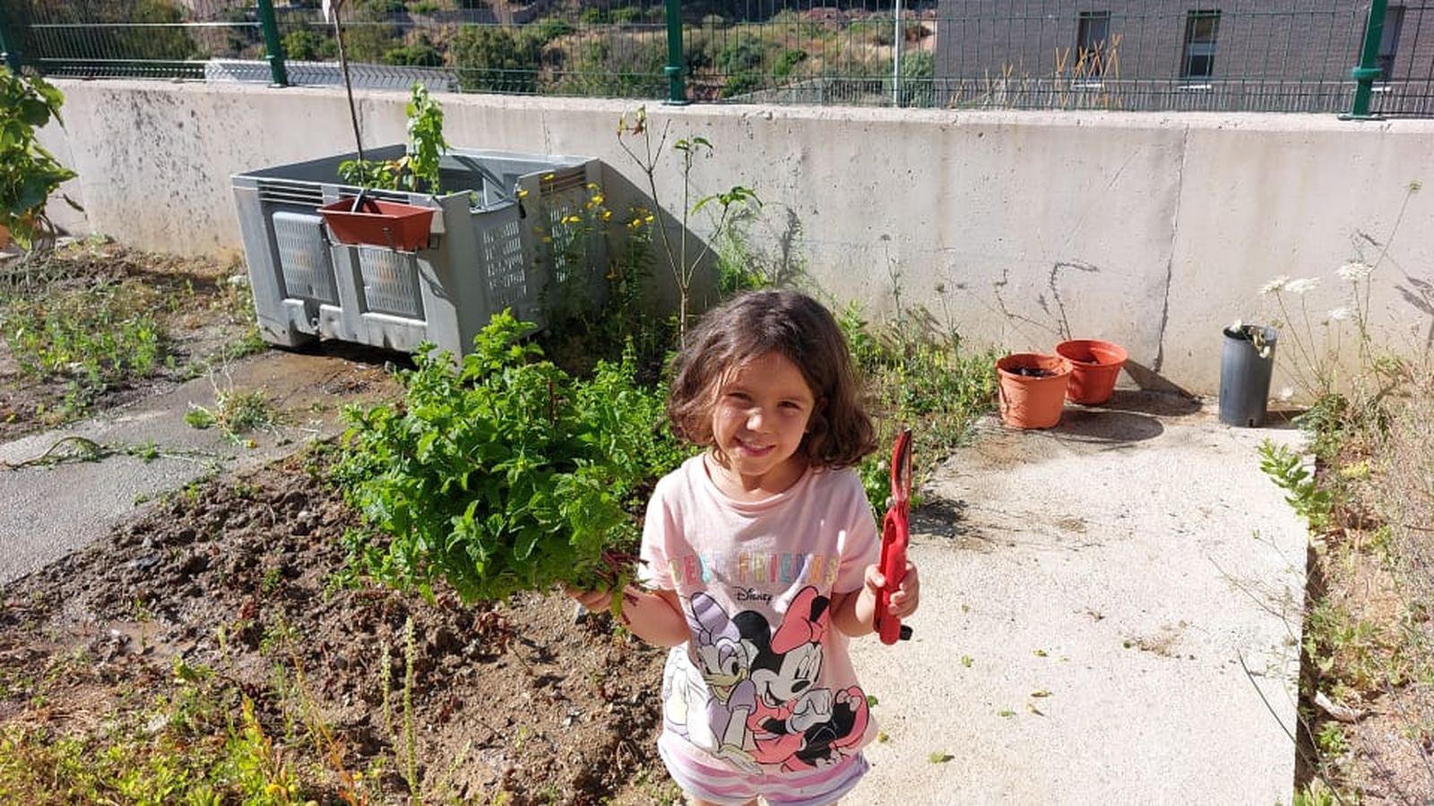 8879_dcc7daf5-8737-4ef1-98d4-b307de49a429