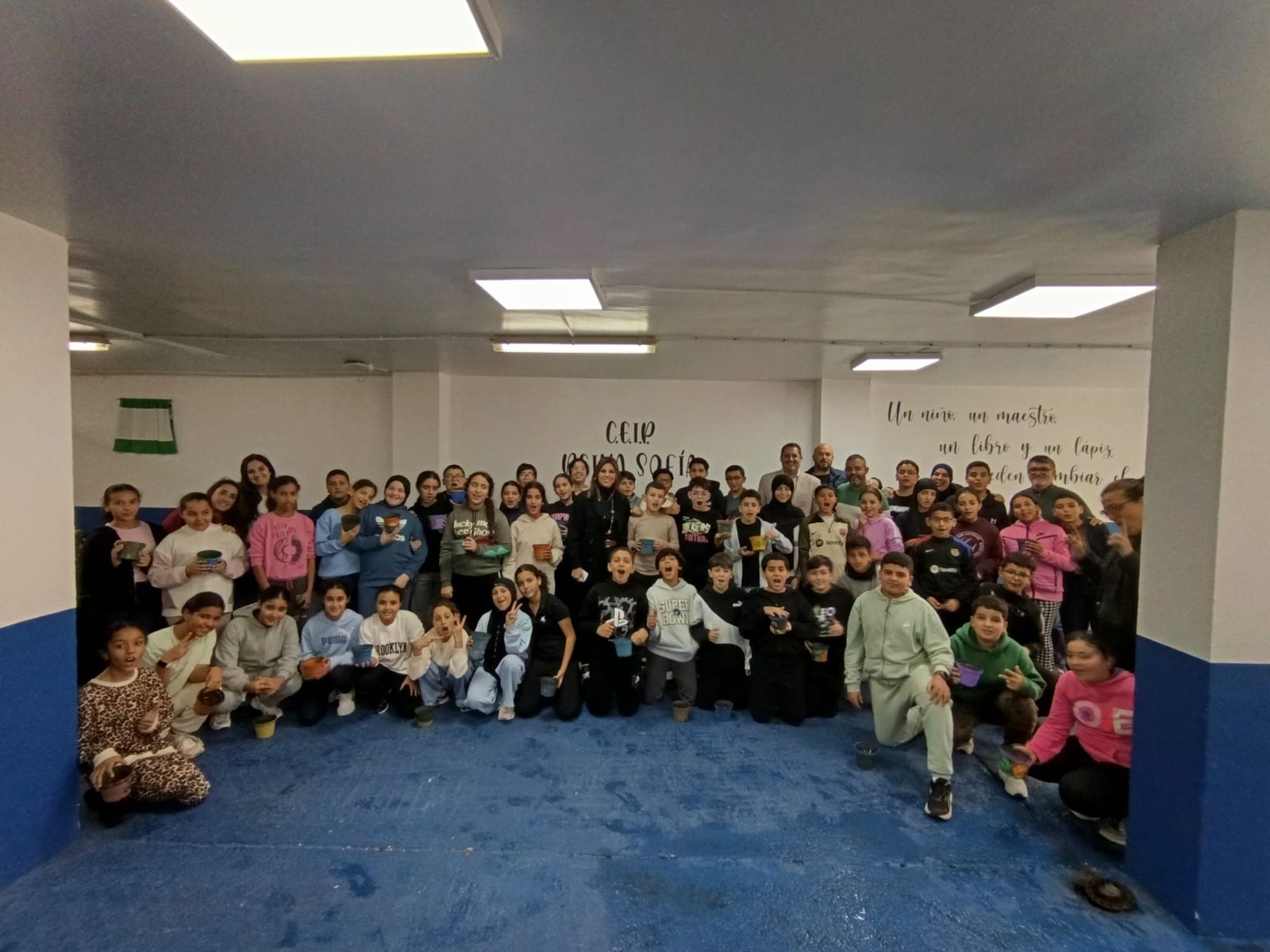 Imagen de la actividad.