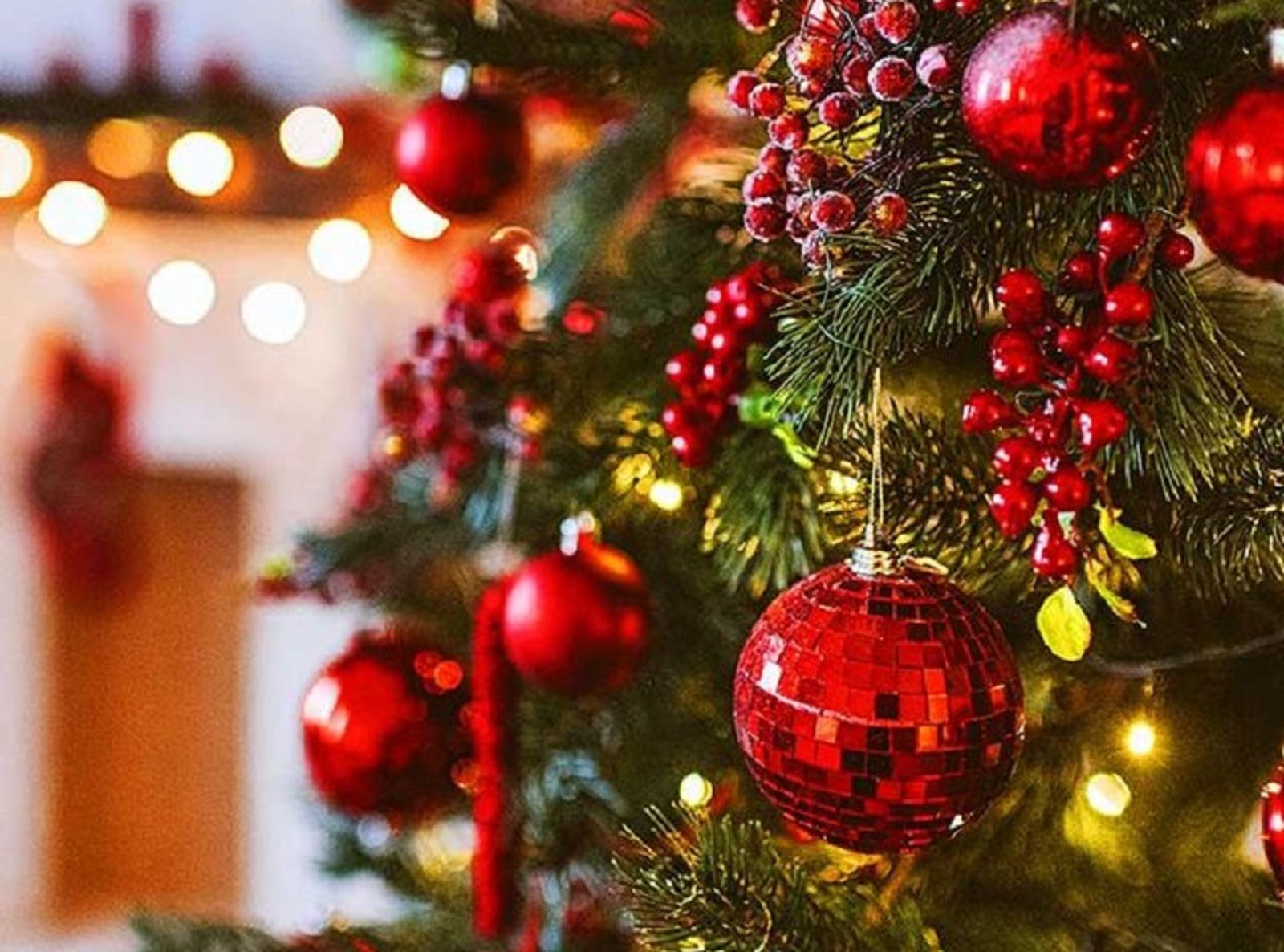 419_arbol-de-navidad-decoracion-1607862333