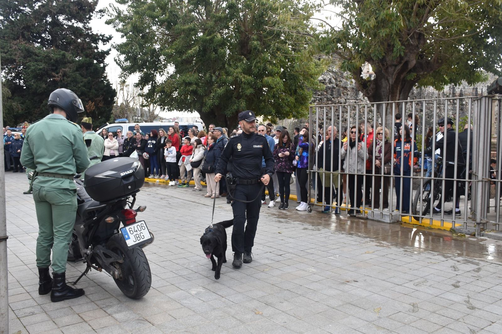 FOTOGALERÍA | Miles de corredores toman la salida en la X Cuna de la Legión: mira las imágenes