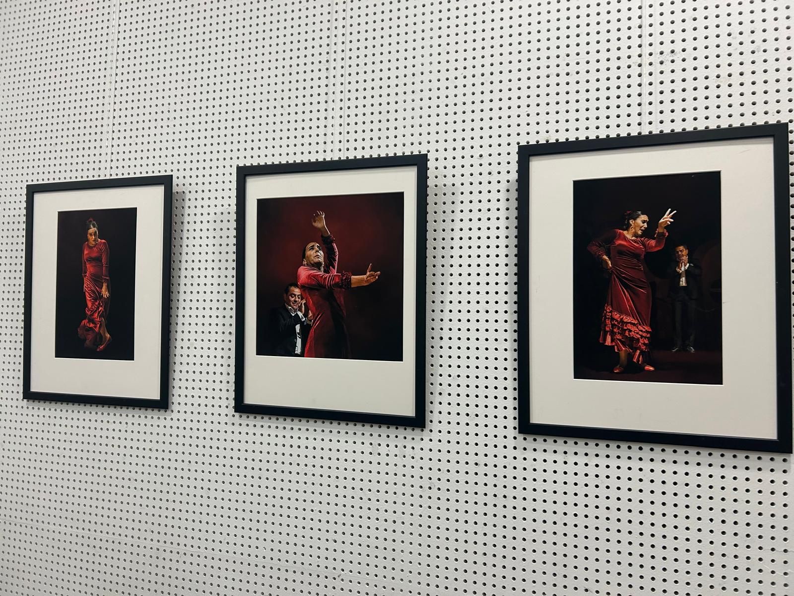 Exposición fotográfica de una agrupación jerezana en la biblioteca Adolfo Suárez impulsada por la Asociación Miradas