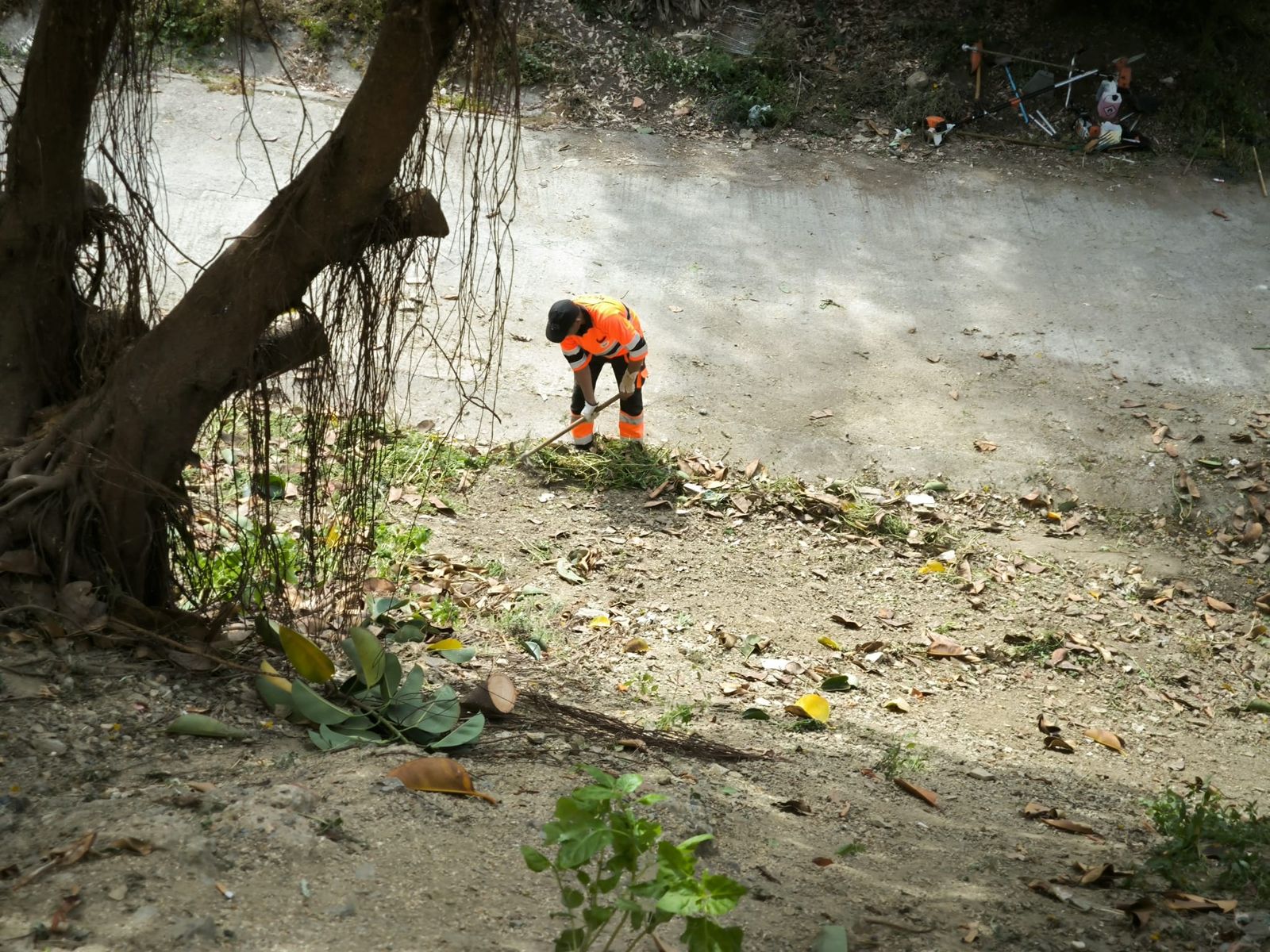 La Ciudad actúa tras las denuncias vecinales y limpia la vaguada de Miramar Alto