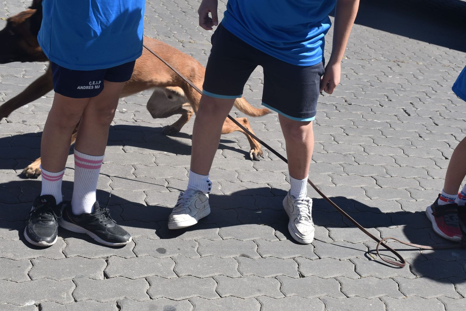 La Policía Local deslumbra a los pequeños de varios centros escolares