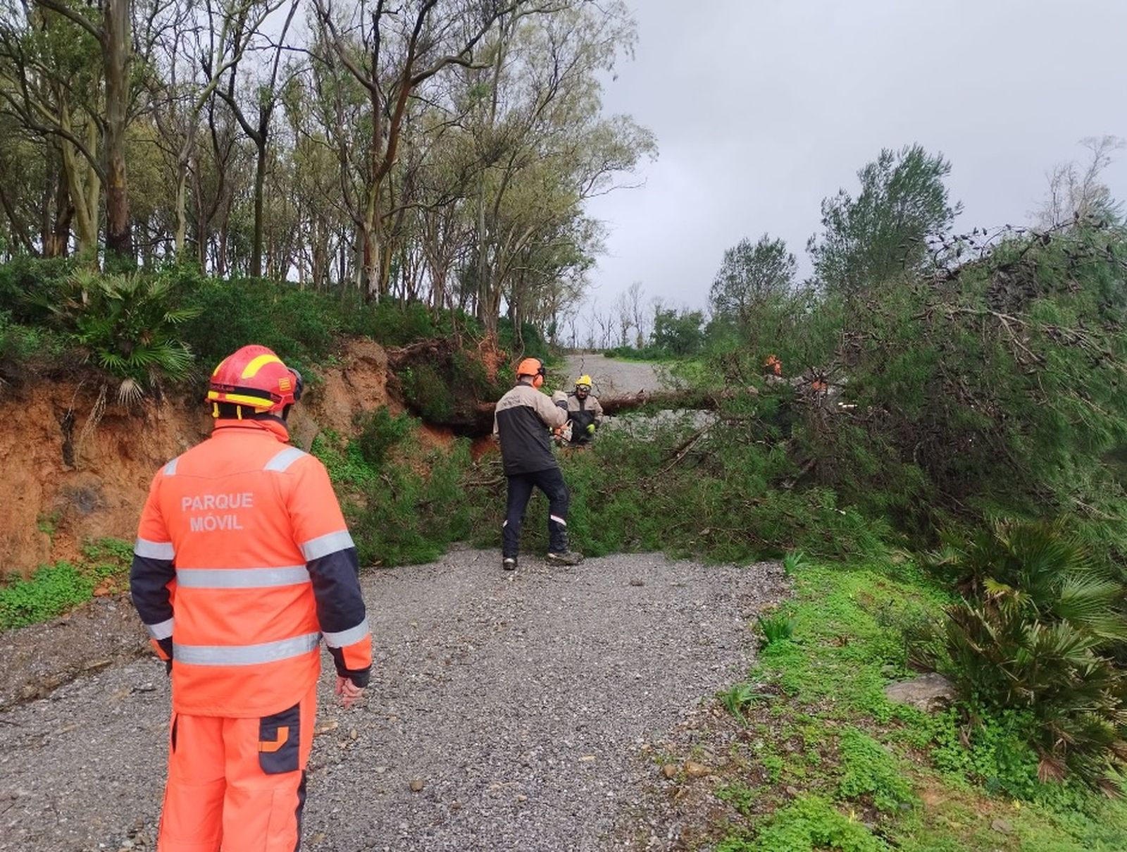 Miembros del Parque Móvil durante el temporal.