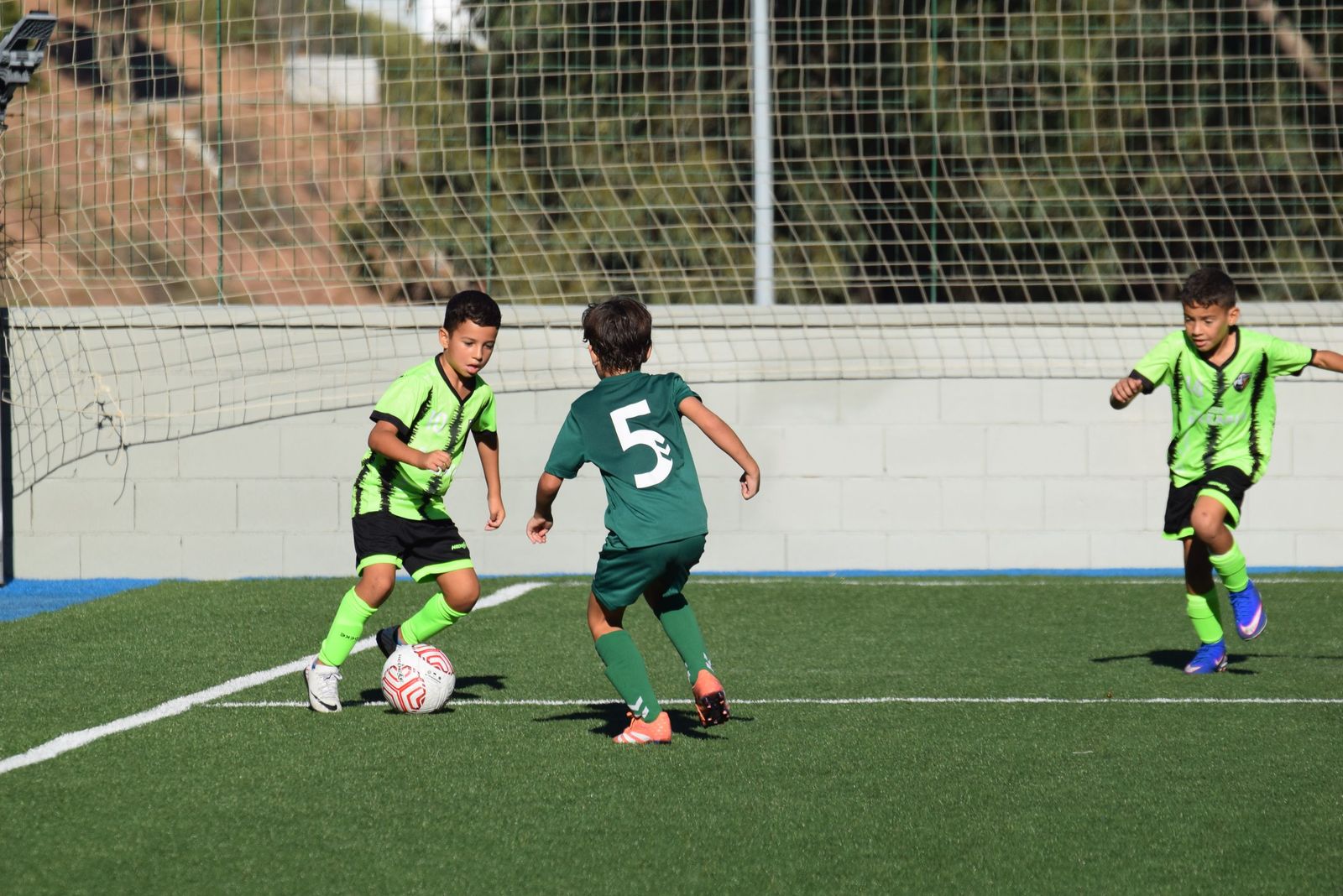 Liga Benjamín