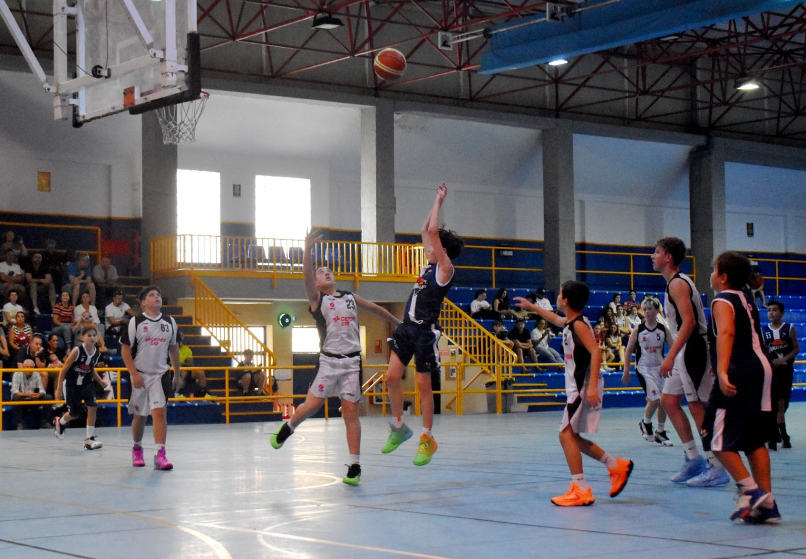 El CB Inmacula debuta en la Copa de Andalucía Infantil Mixto El CB Inmacula debuta en la Copa de Andalucía Infantil Mixto