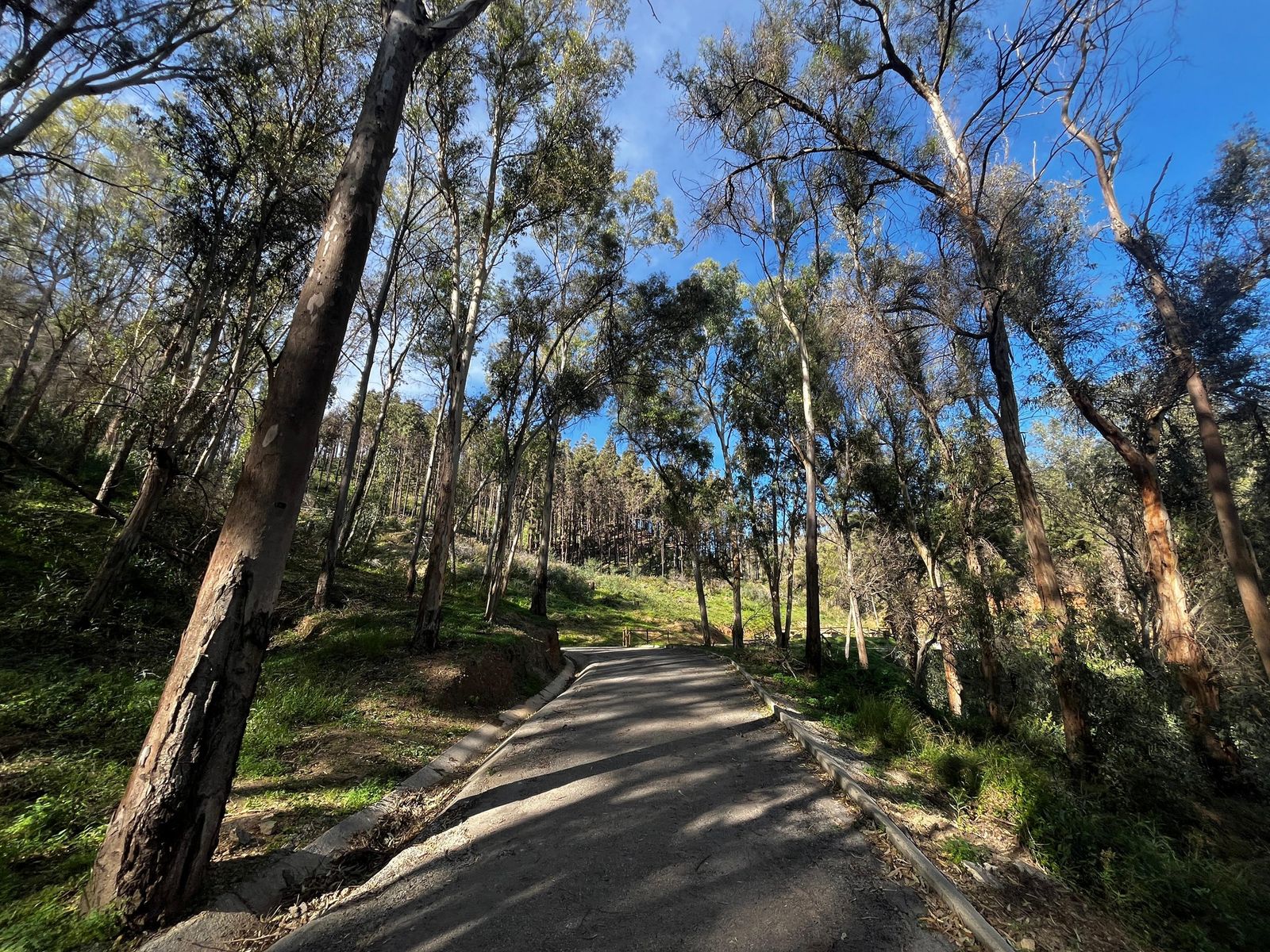 El índice ultravioleta experimentará un ligero ascenso respecto a jornadas anteriores, alcanzando valores de hasta 7 en las horas centrales del día, lo que implica un nivel alto de radiación solar.