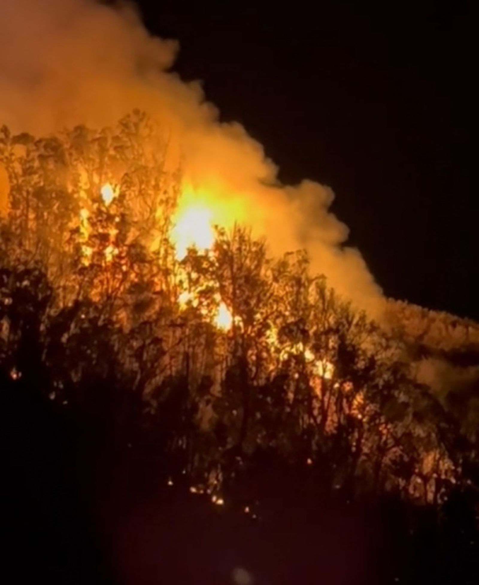 Incendio forestal en García Aldave en 2024. / FOTO REDUAN