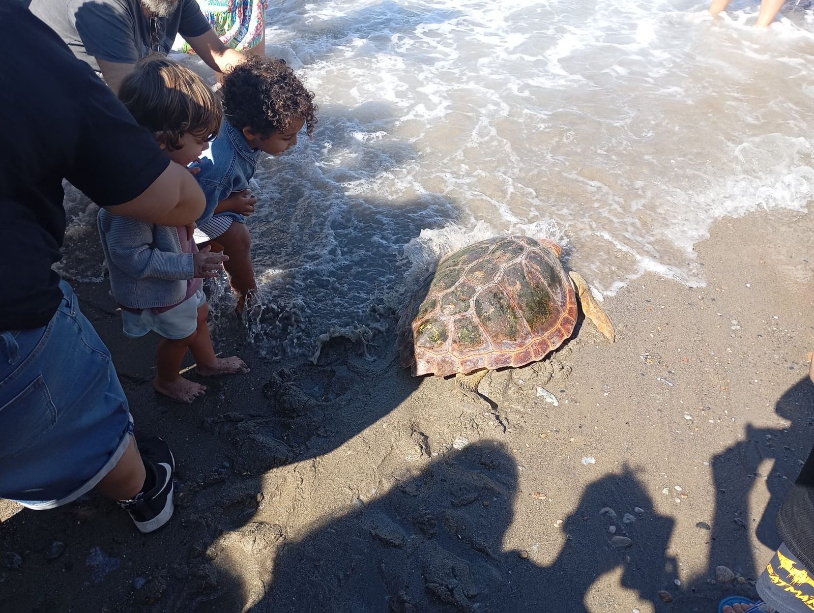 Bonita mañana ecológica en la playa de San Amaro