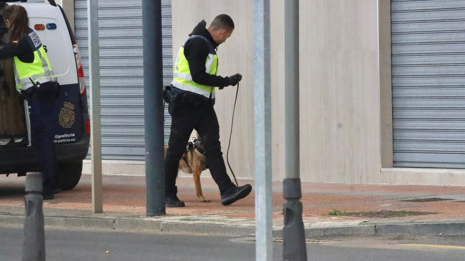 Los agentes utilizaron también guías caninos