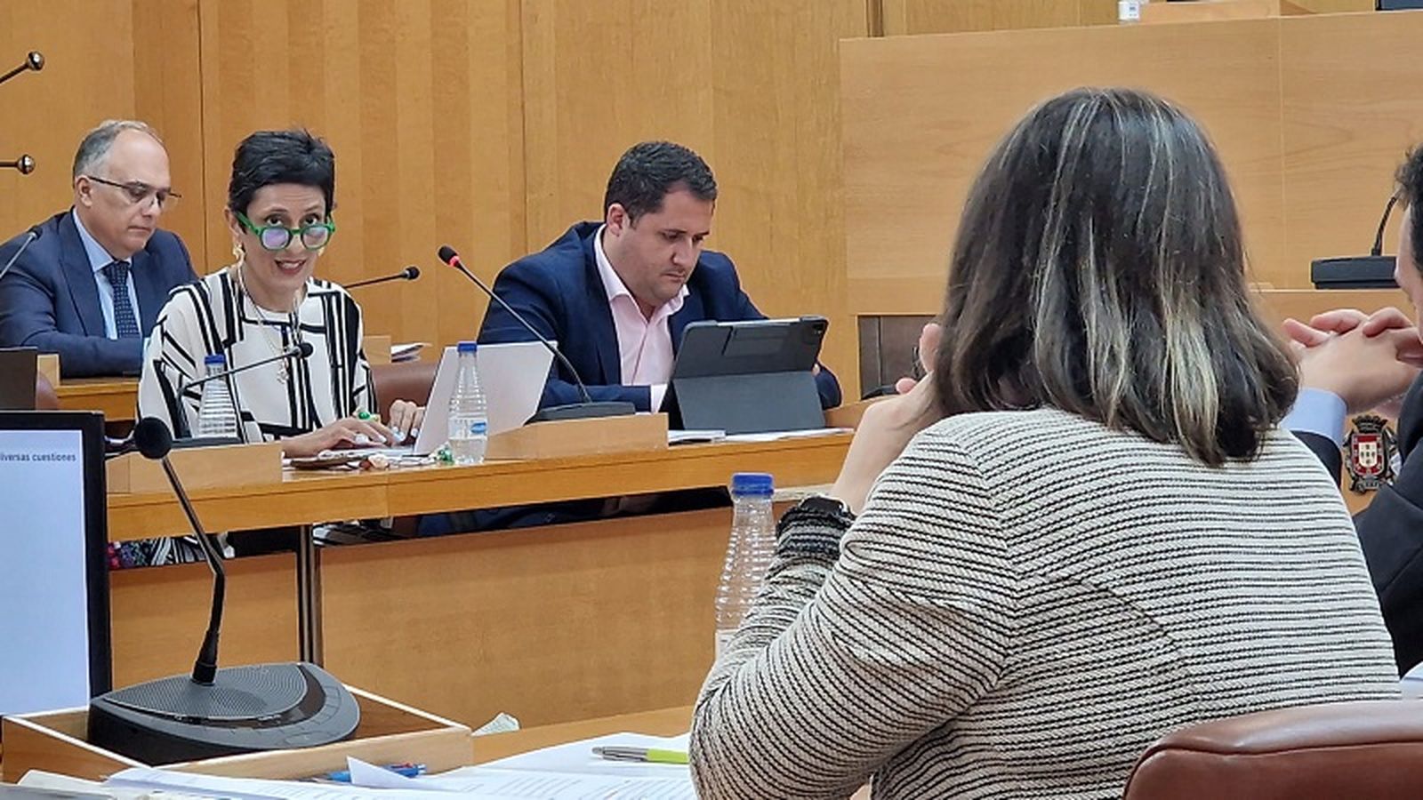 La consejera de Hacienda, Kissy Chandiramani, durante el pleno de este martes. / FOTO S.D.