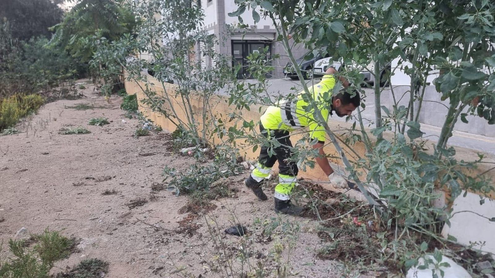 Un trabajador realizando sus labores de limpieza y adecentamiento en El Sarchal