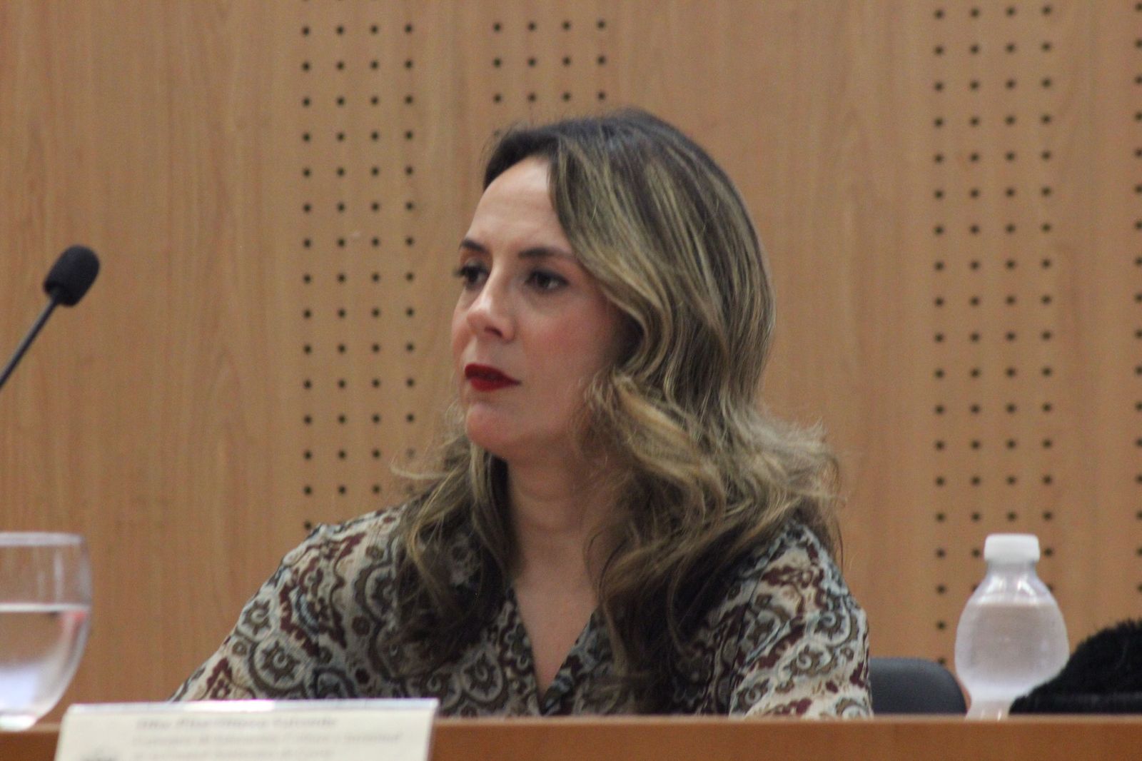 La consejera Pilar Orozco