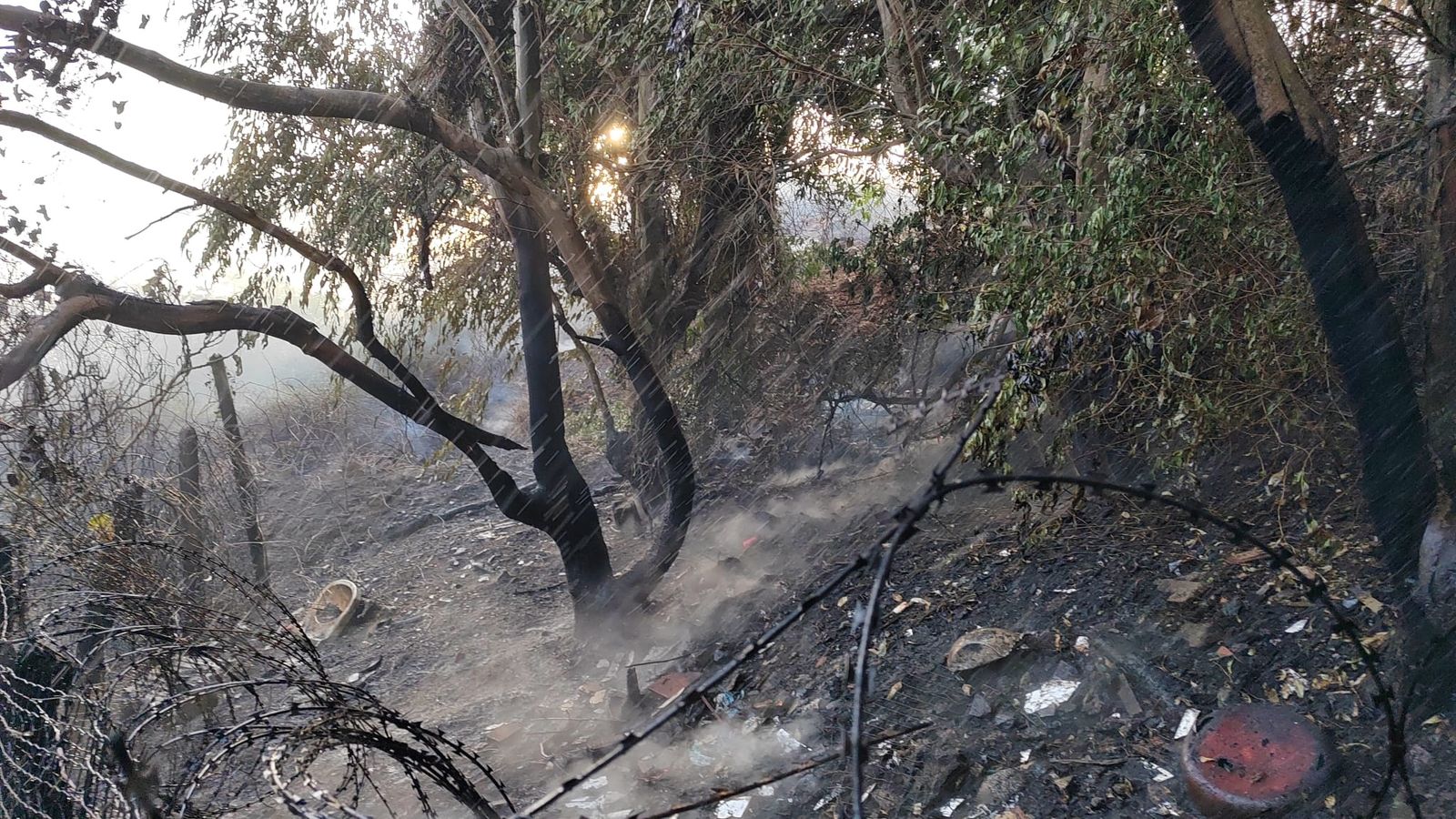 El SEIS extingue un nuevo incendio de monte en un asentamiento de Calamocarro