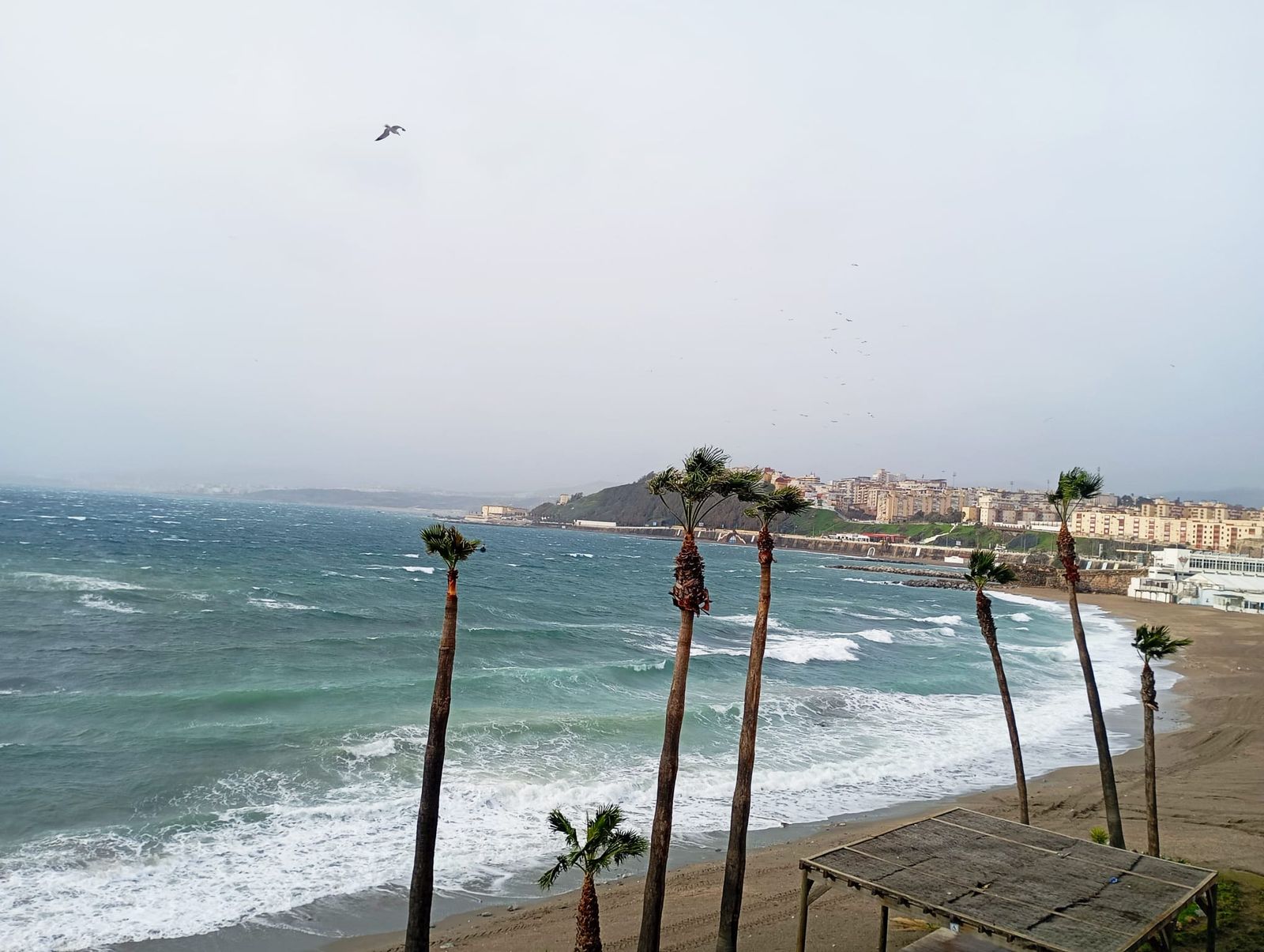 Fuertes vientos en la Bahía Sur