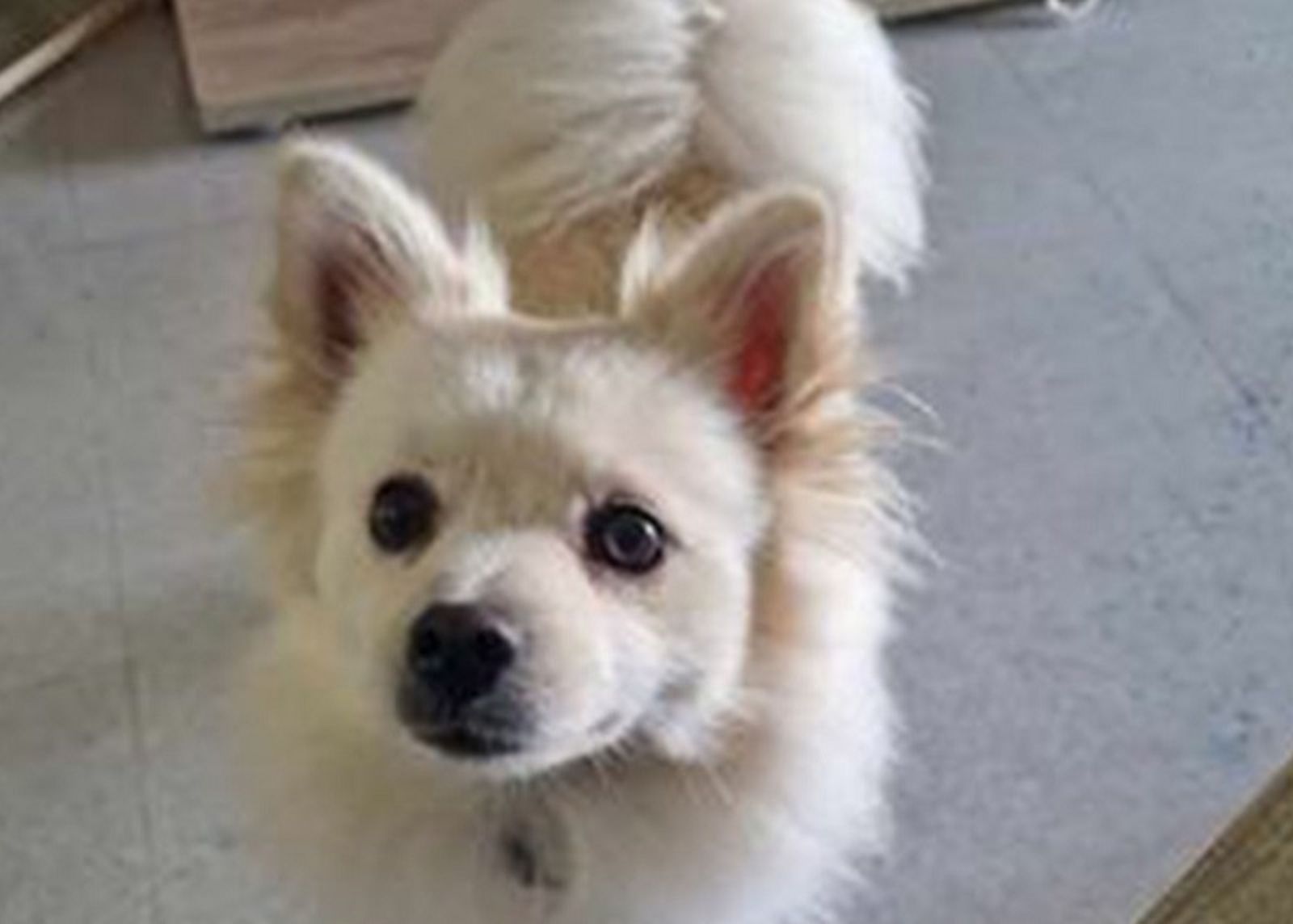 5784_coco