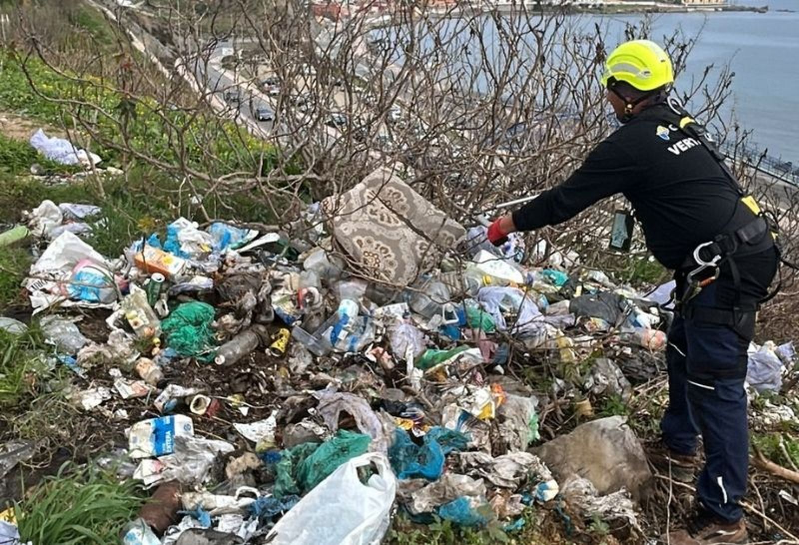 Limpieza de las Brigadas Verticales en el Príncipe Felipe.