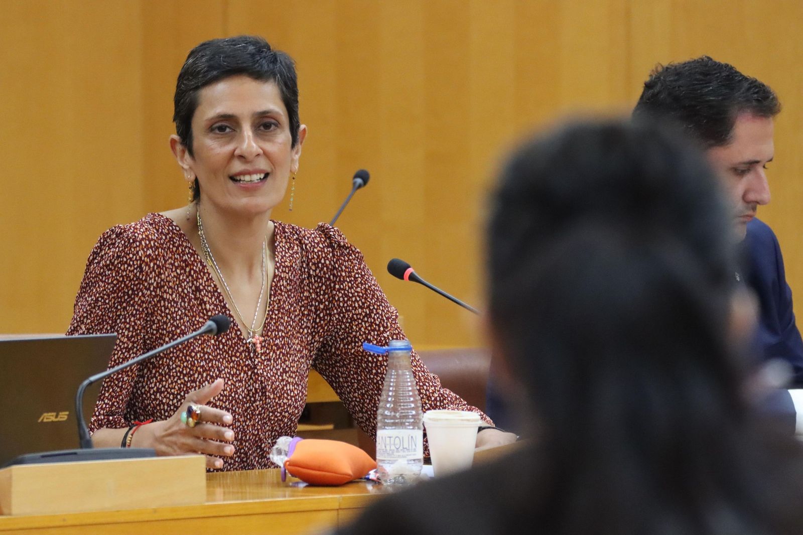 Chandiramani responde al PSOE en la sesión plenaria de este miércoles