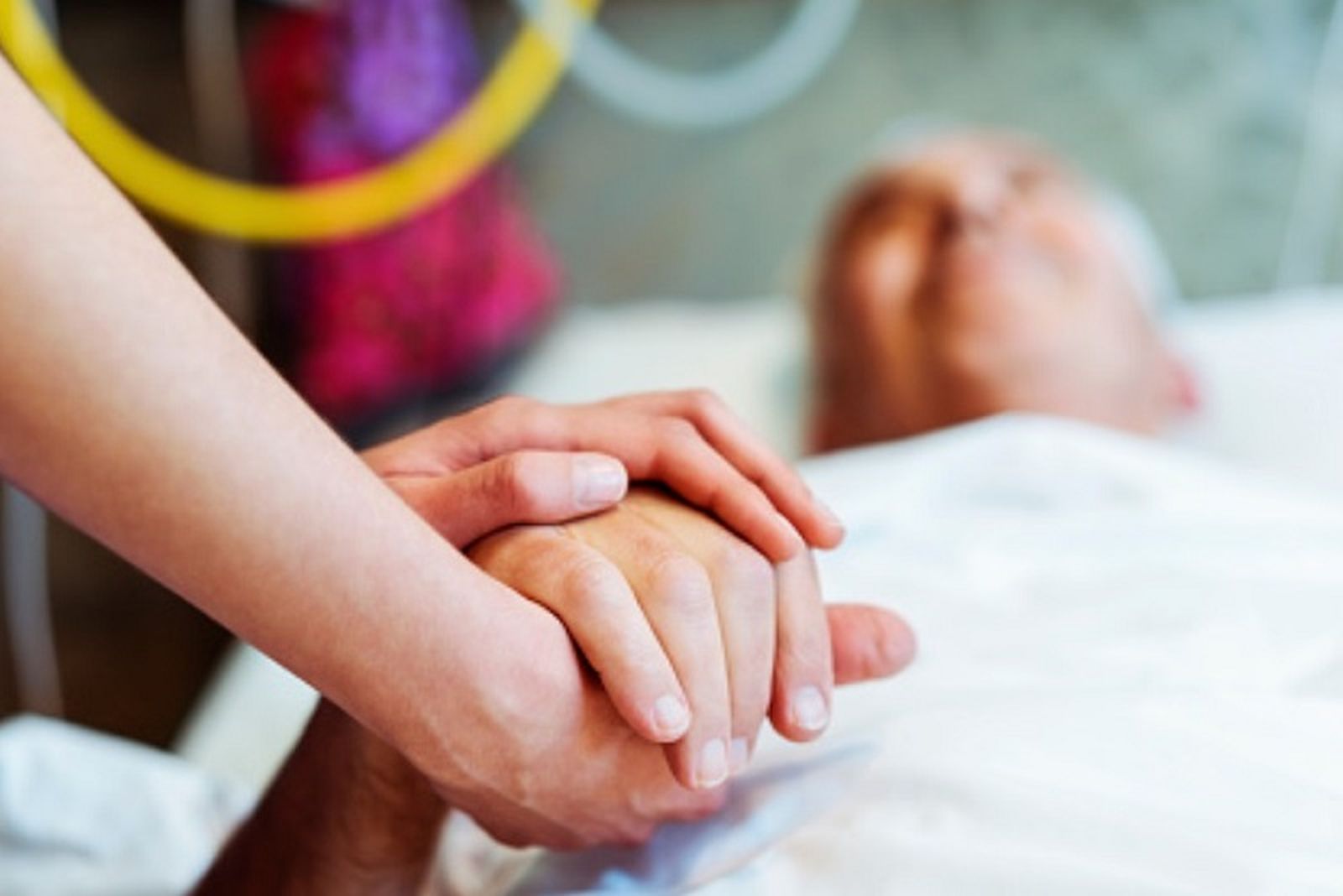 Cataluña fue la que más solicitudes registró