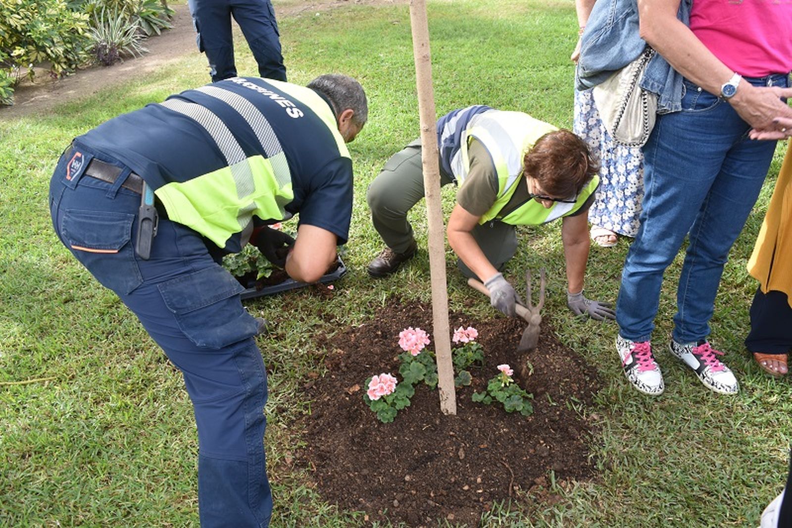 Jardineros de Ceuta ayudaron a plantar el árbol. Entre ellos, Encarnación García, de Obimasa / FOTO NICOL´S