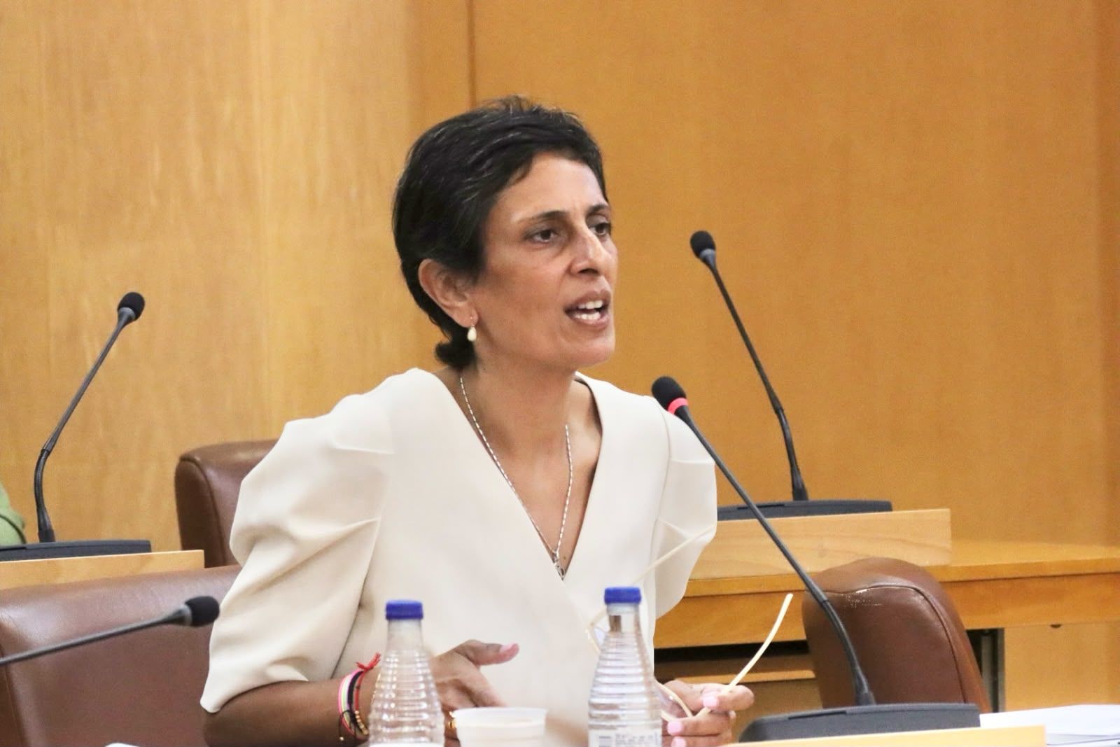 Chandiramani durante su intervención en la sesión plenaria de este jueves